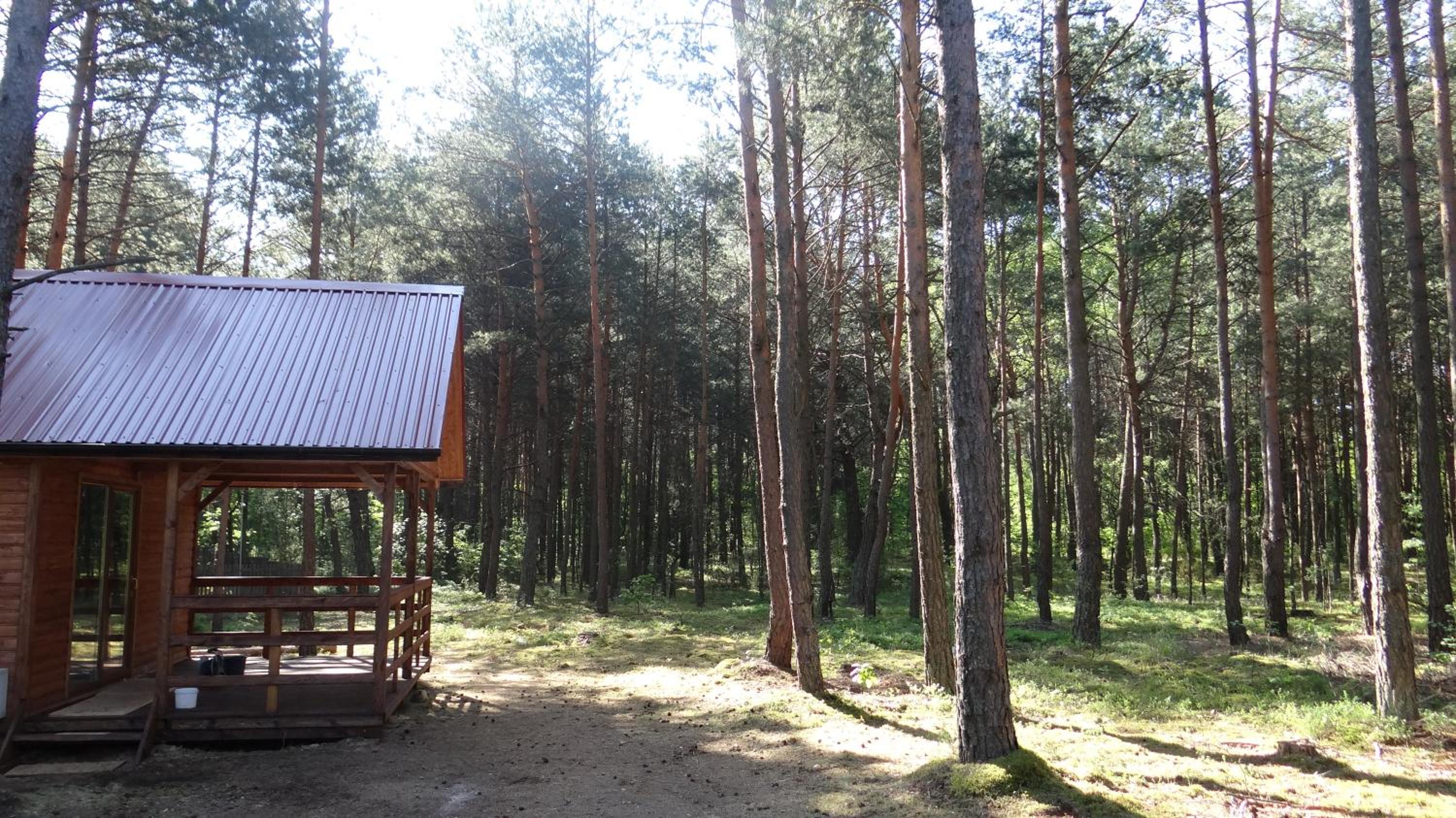 Domki w Sosnowym Lesie view 3