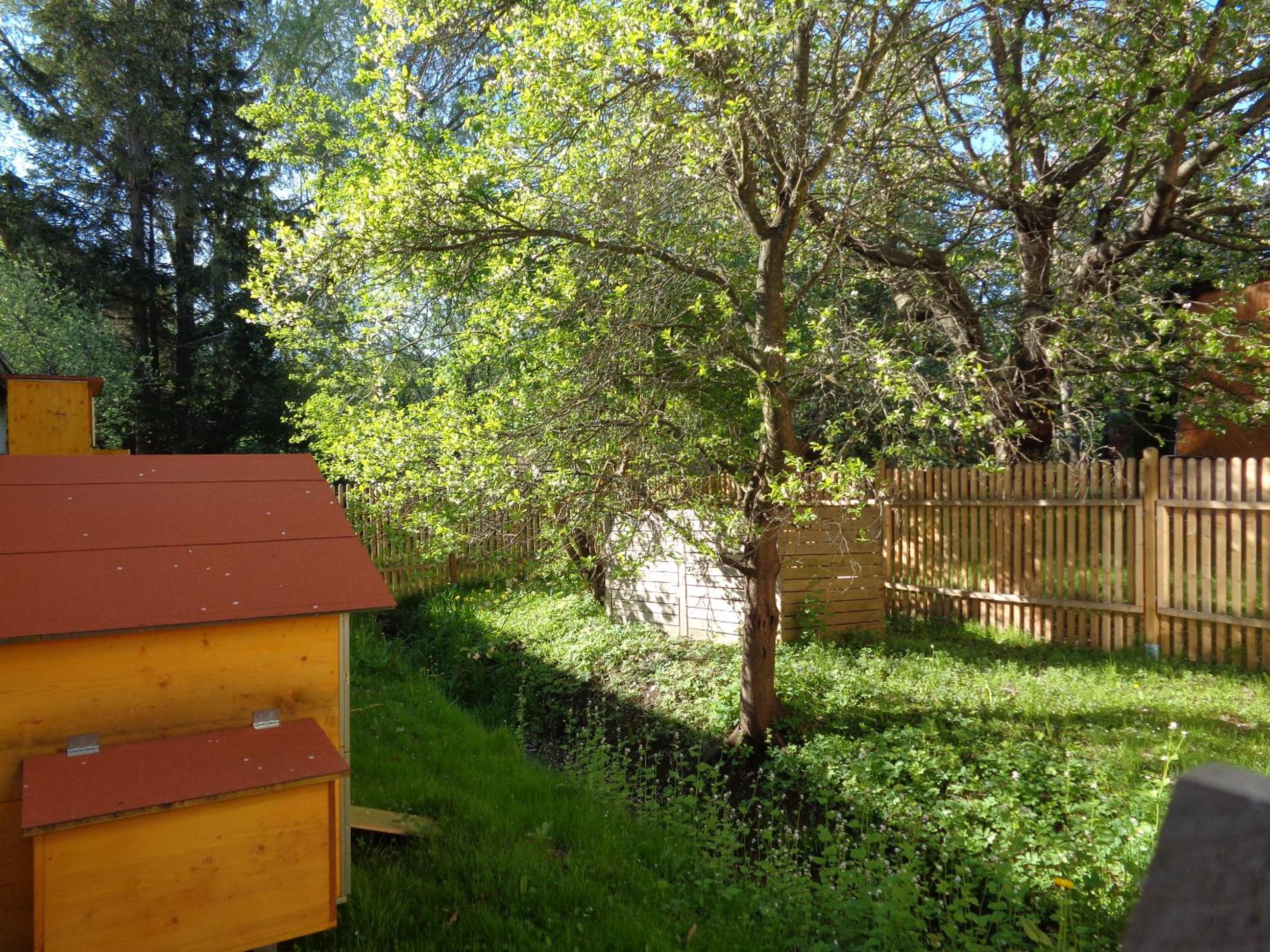 Photo 20