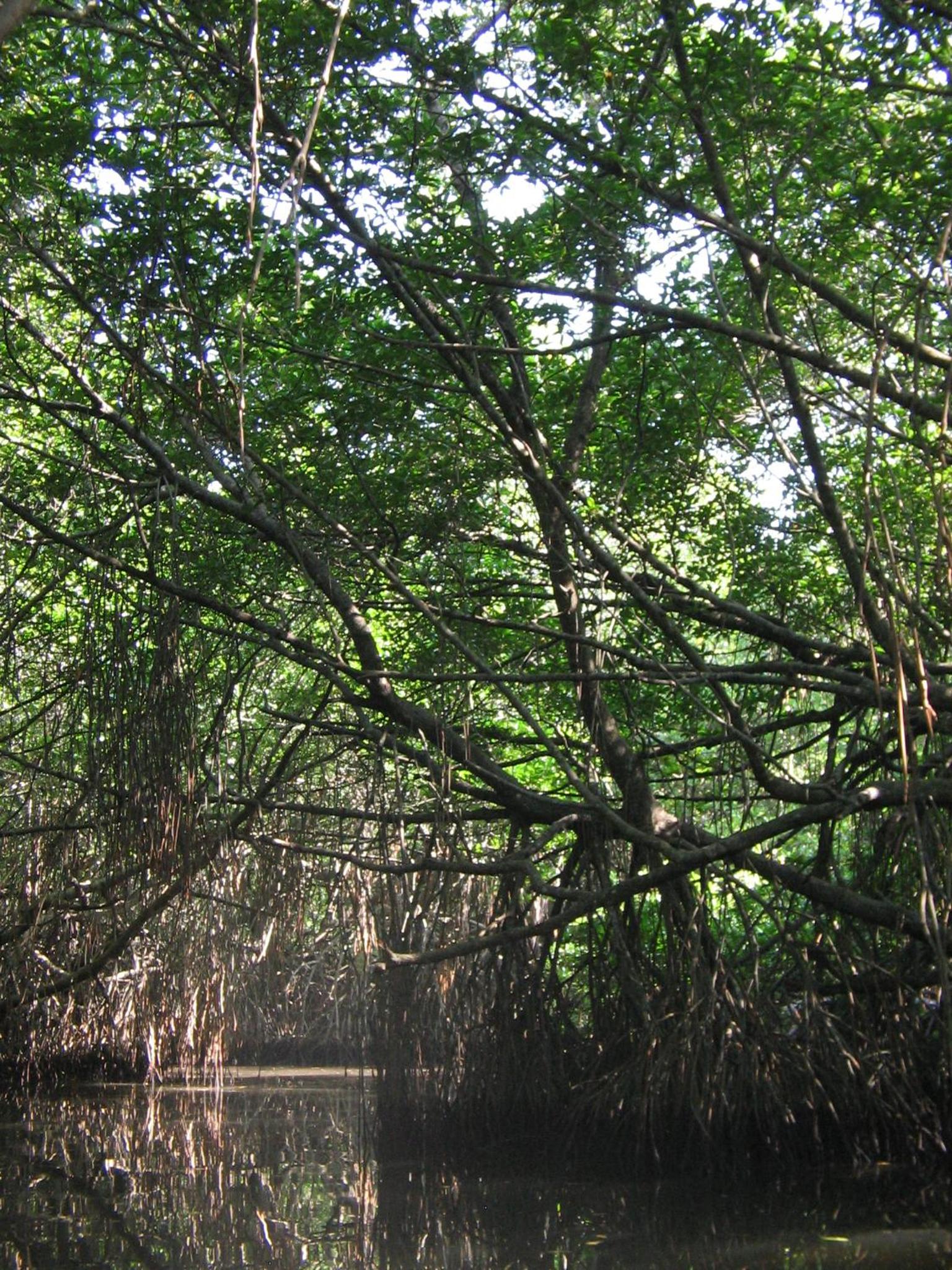 Photo 47