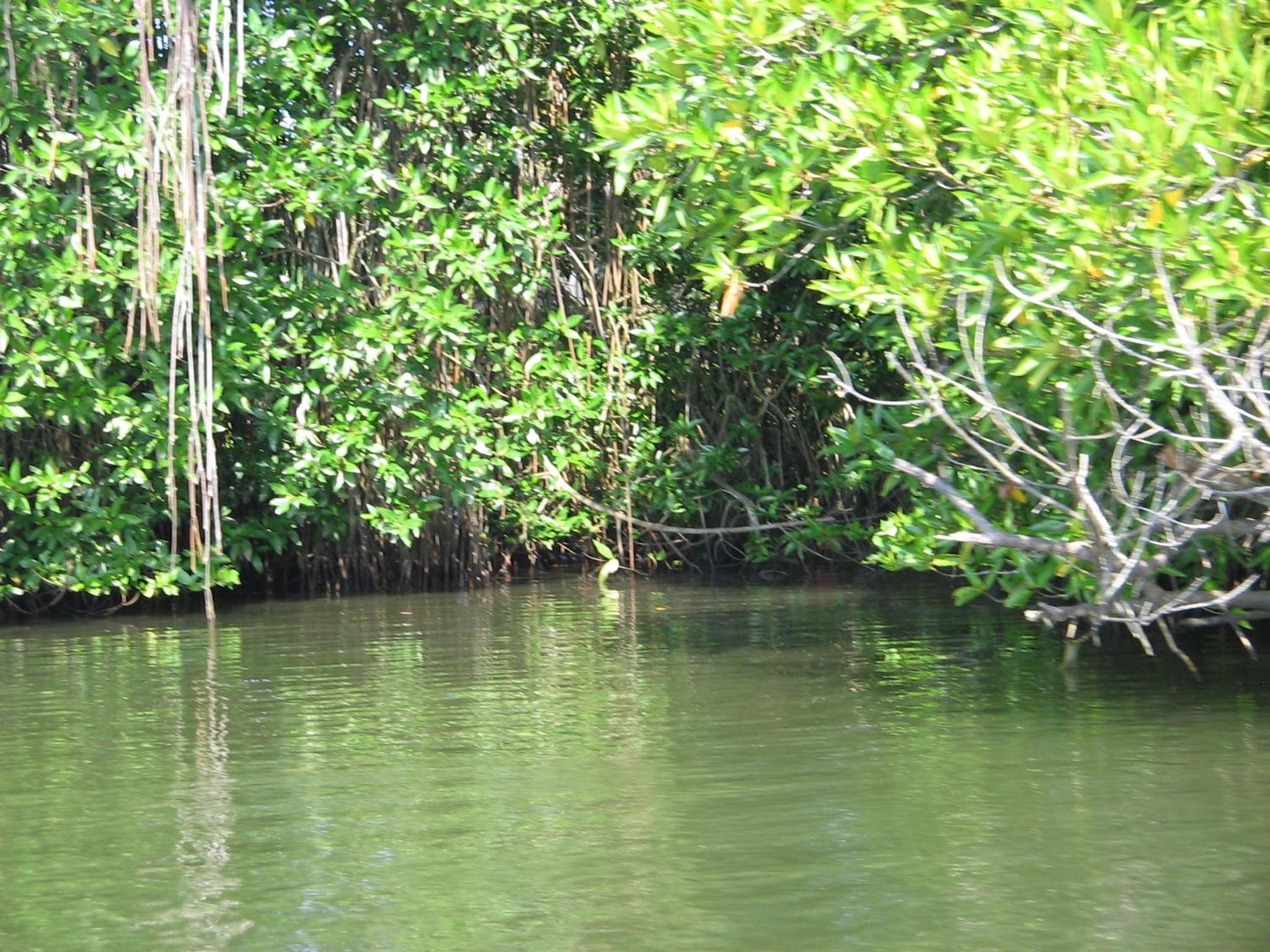 Photo 44