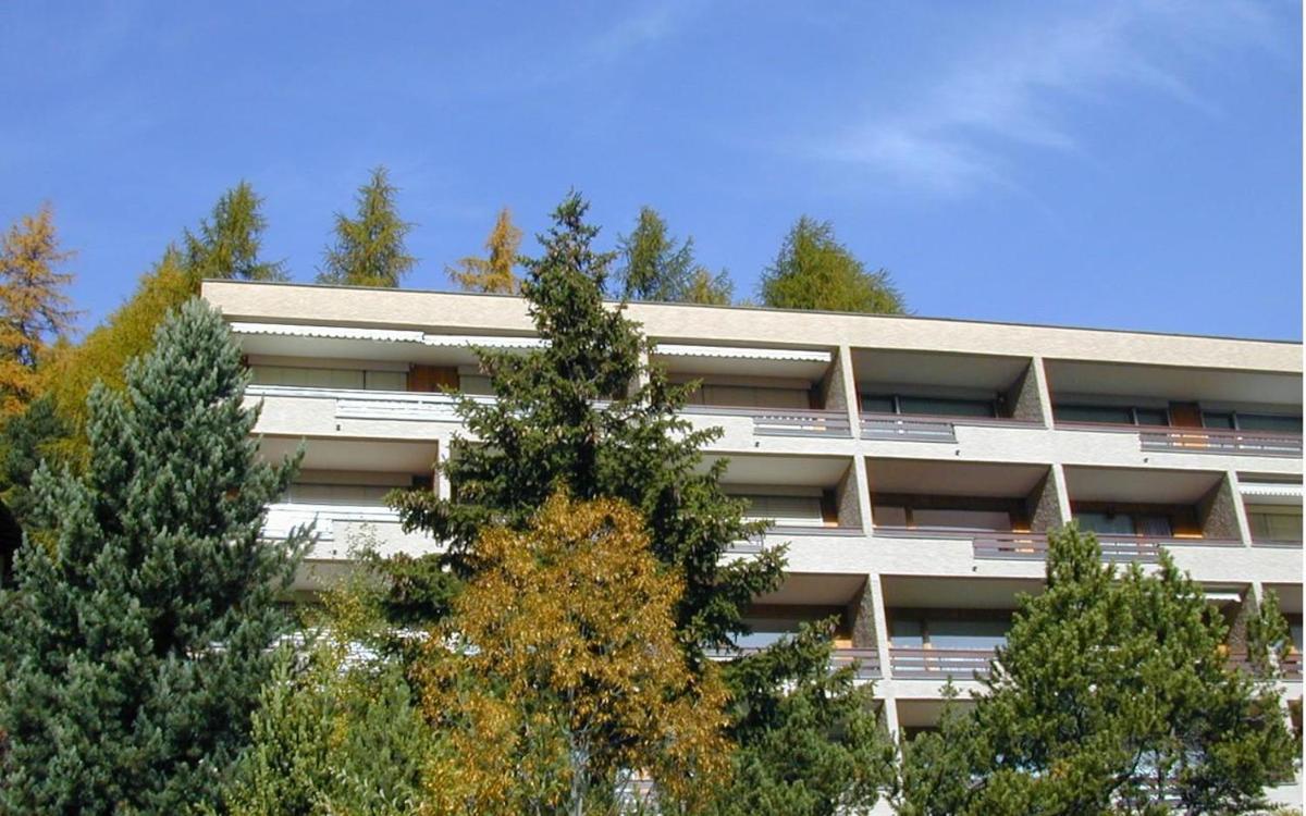 Photo 15