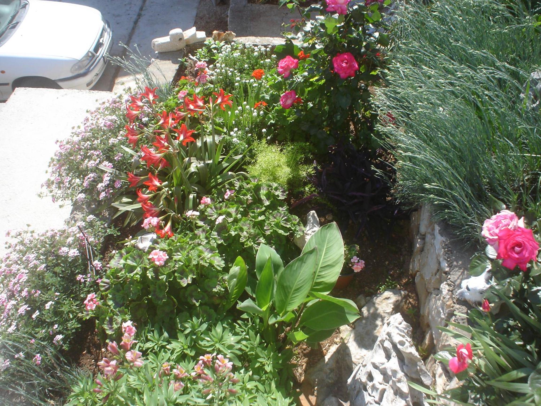 Photo 24