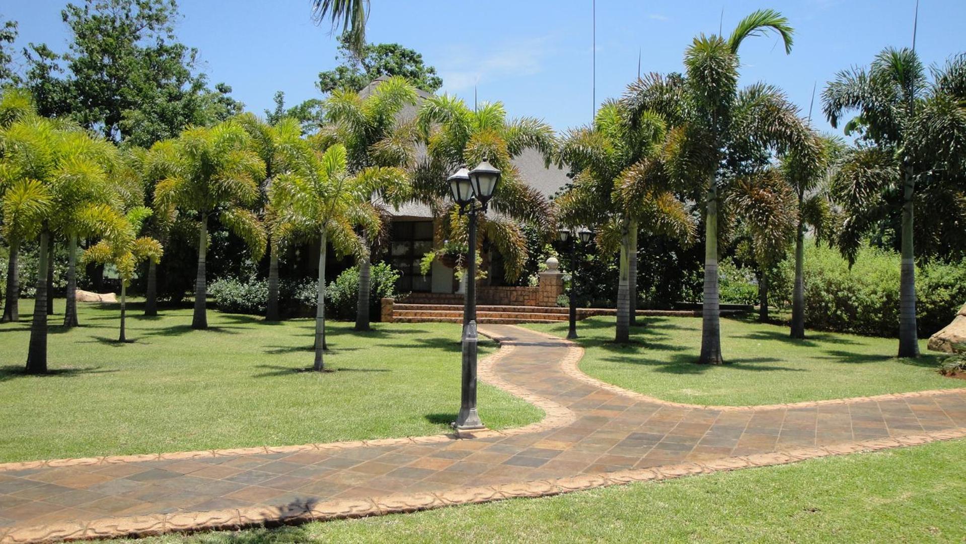 Photo 41