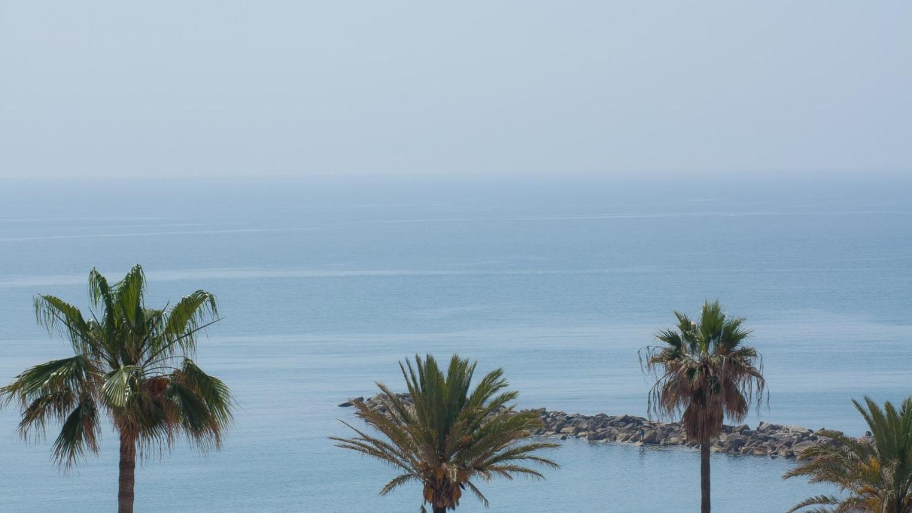 Marina Real 442 view 5