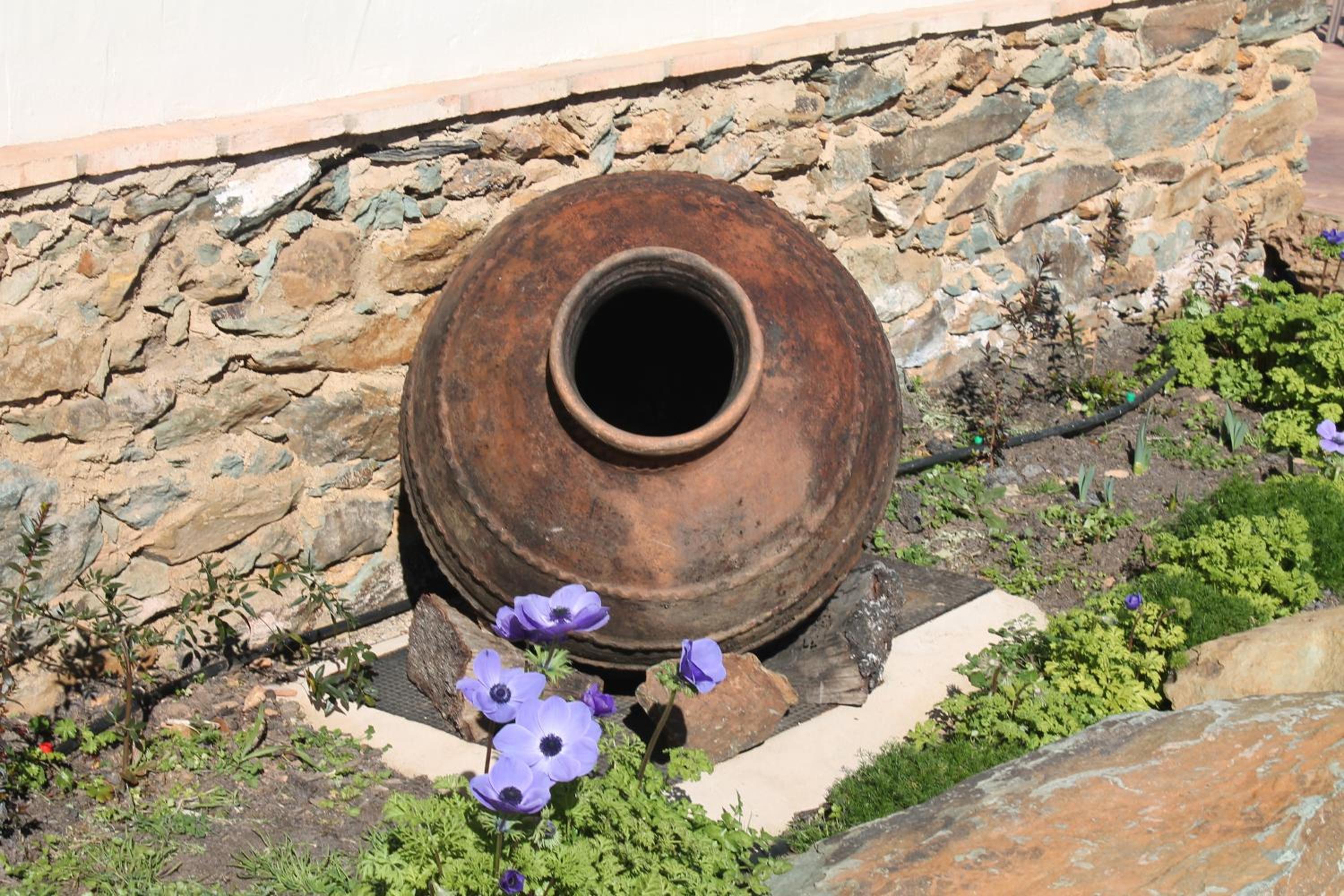 Finca El Chaparral