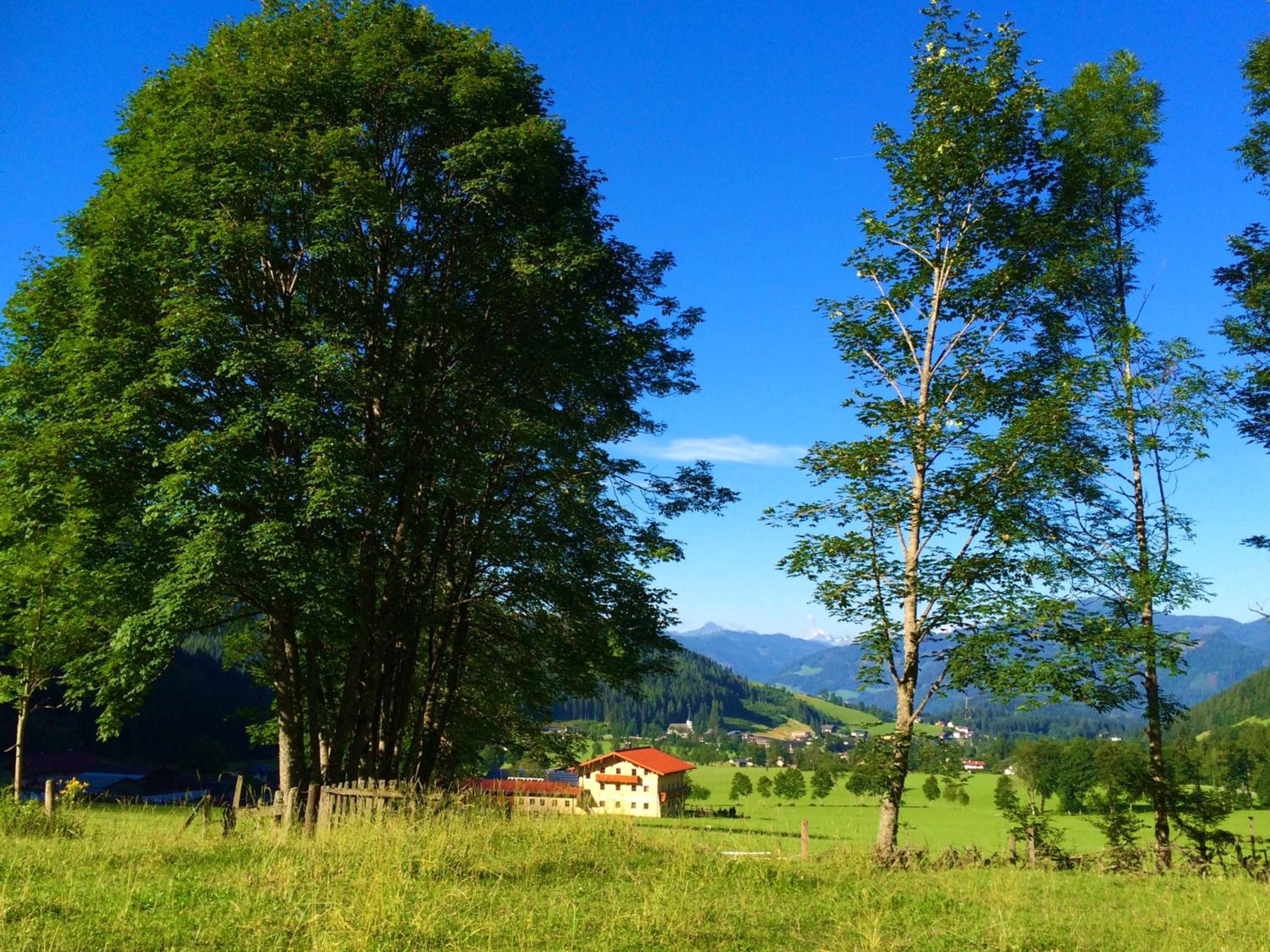 Alpen Appartements Oberlehengut - keine Haustiere - allergikerfreundlich