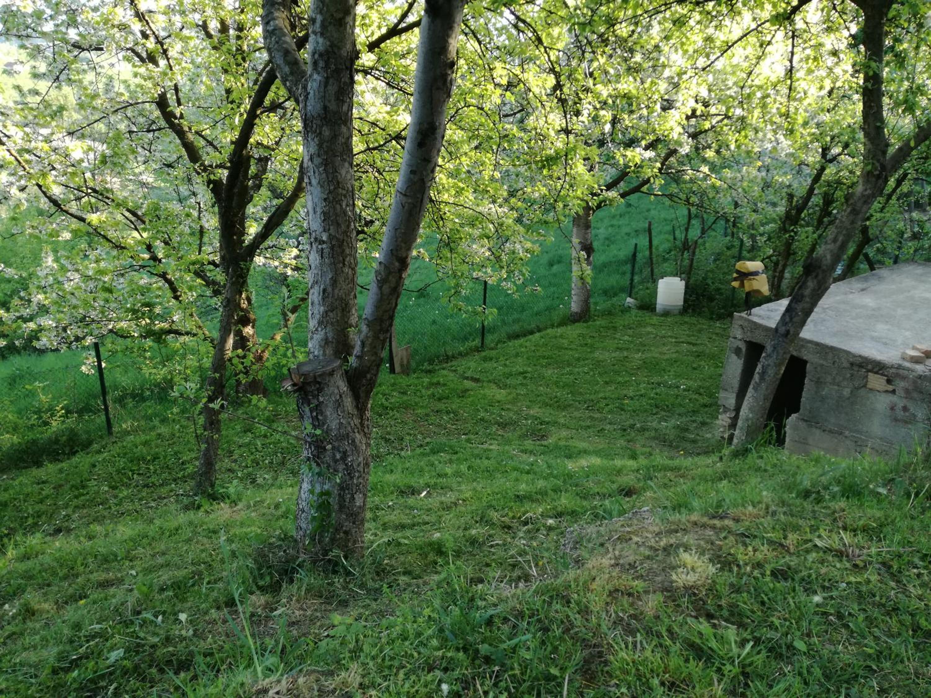 Photo 31