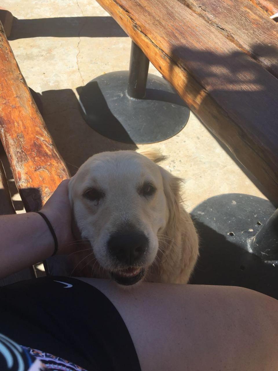 human