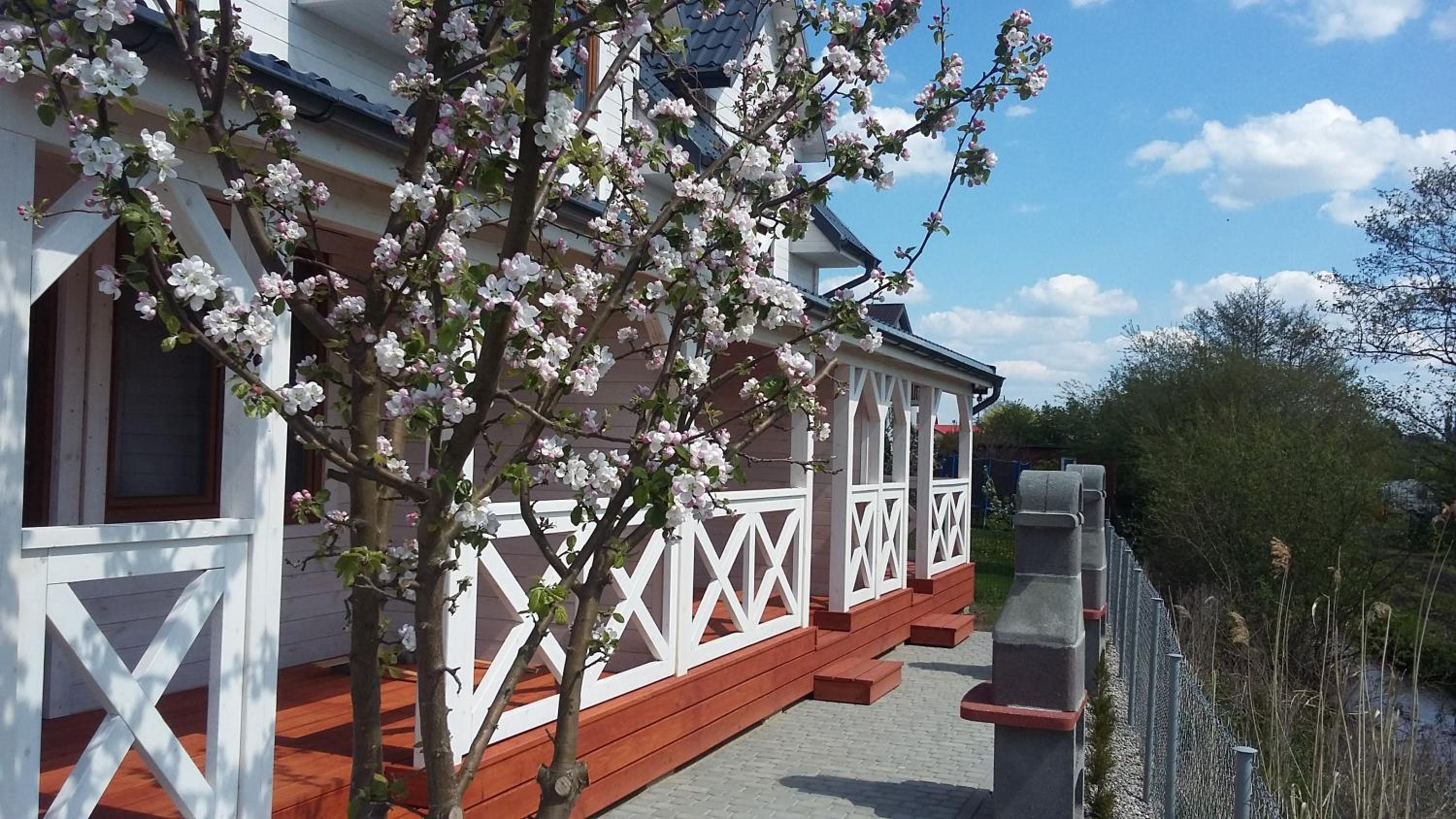 Photo 29