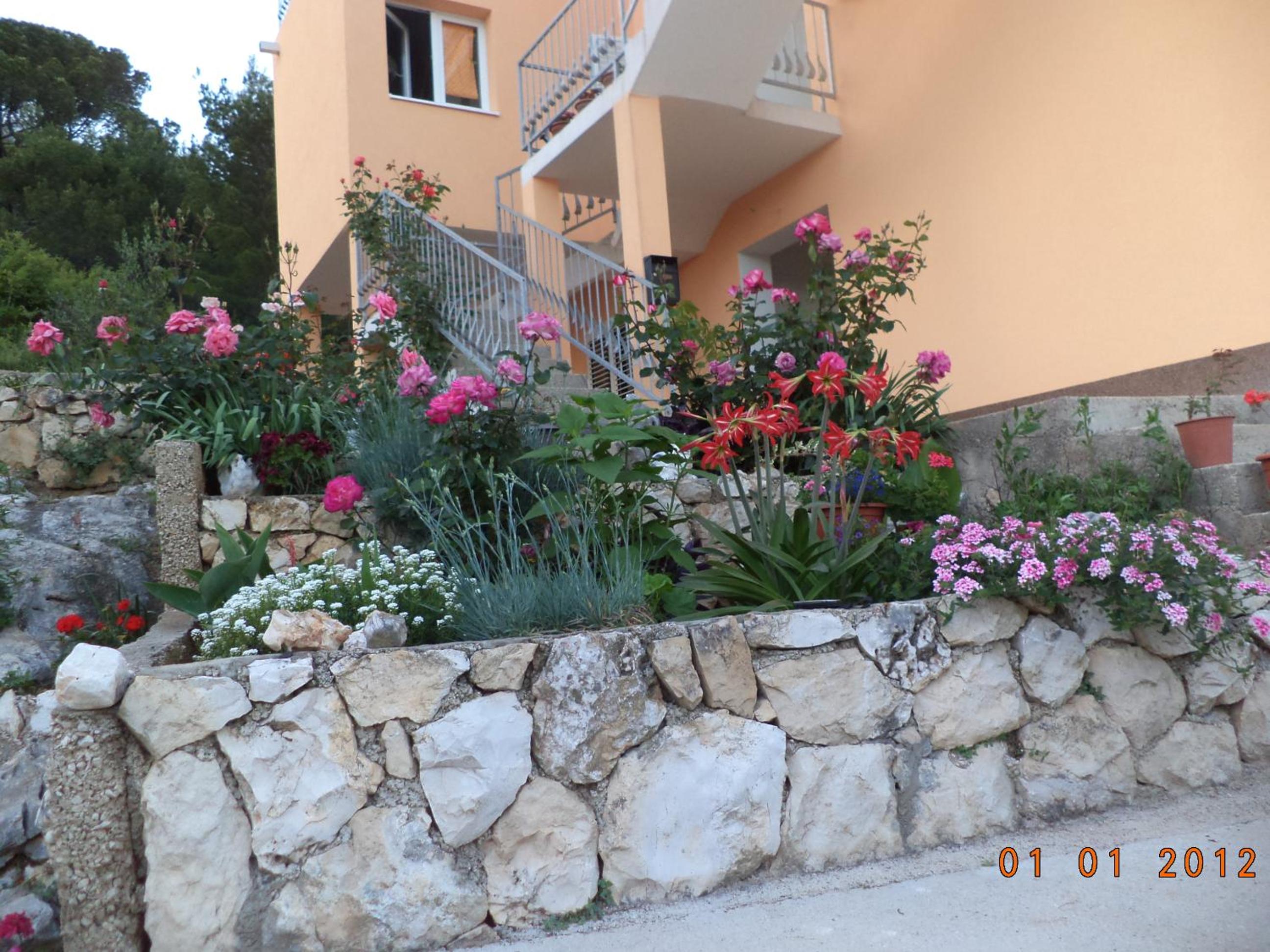 Photo 13