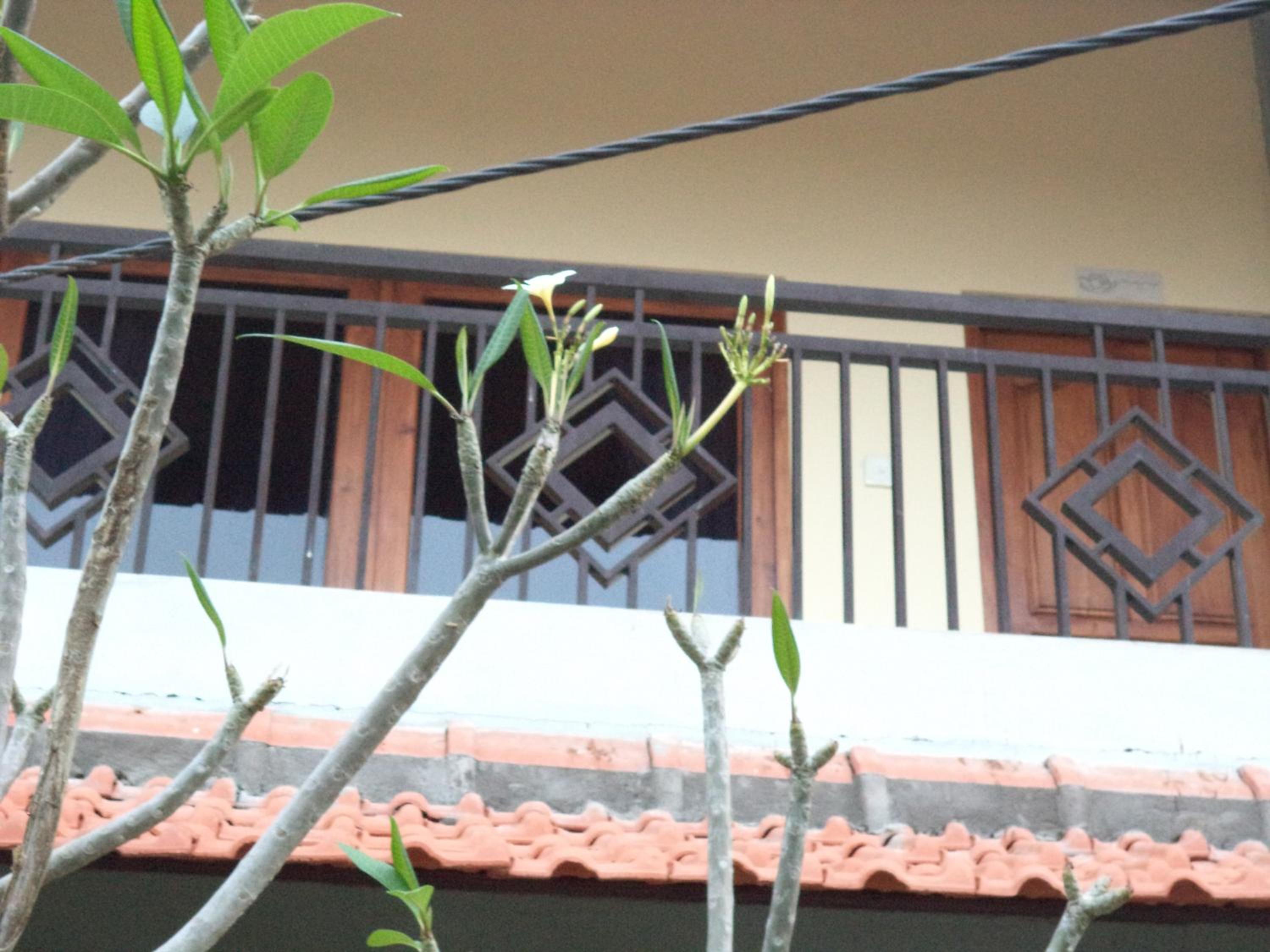 Photo 43
