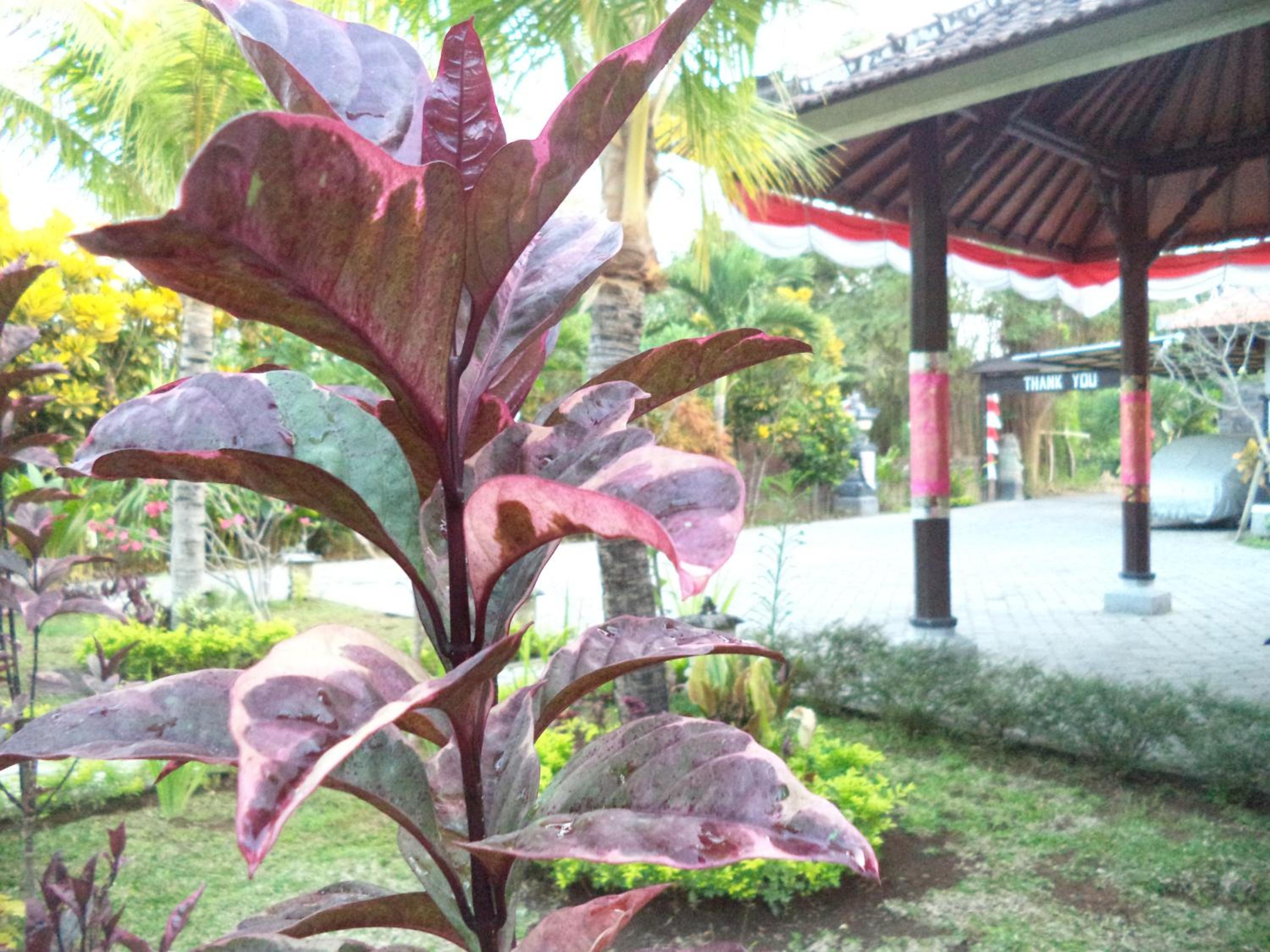 Photo 47