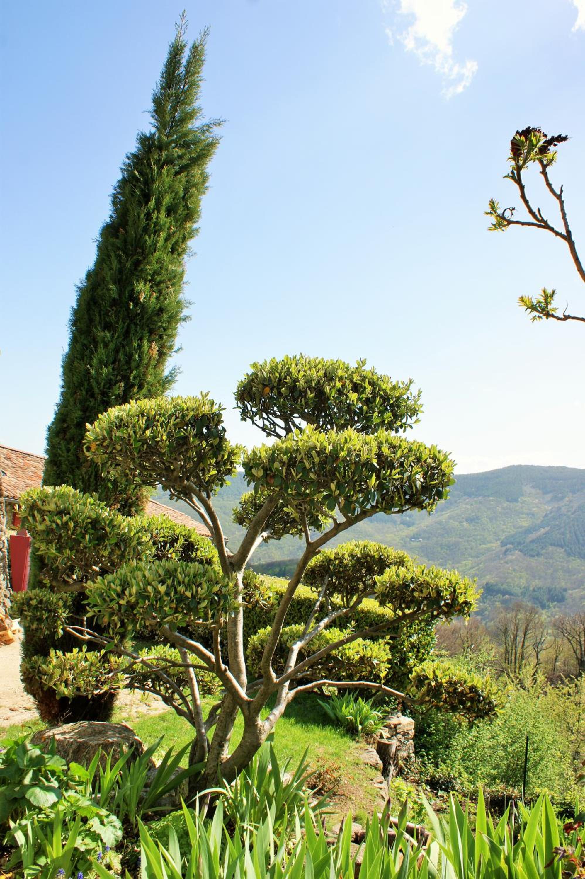 L'Oustau de Pequeti view 3