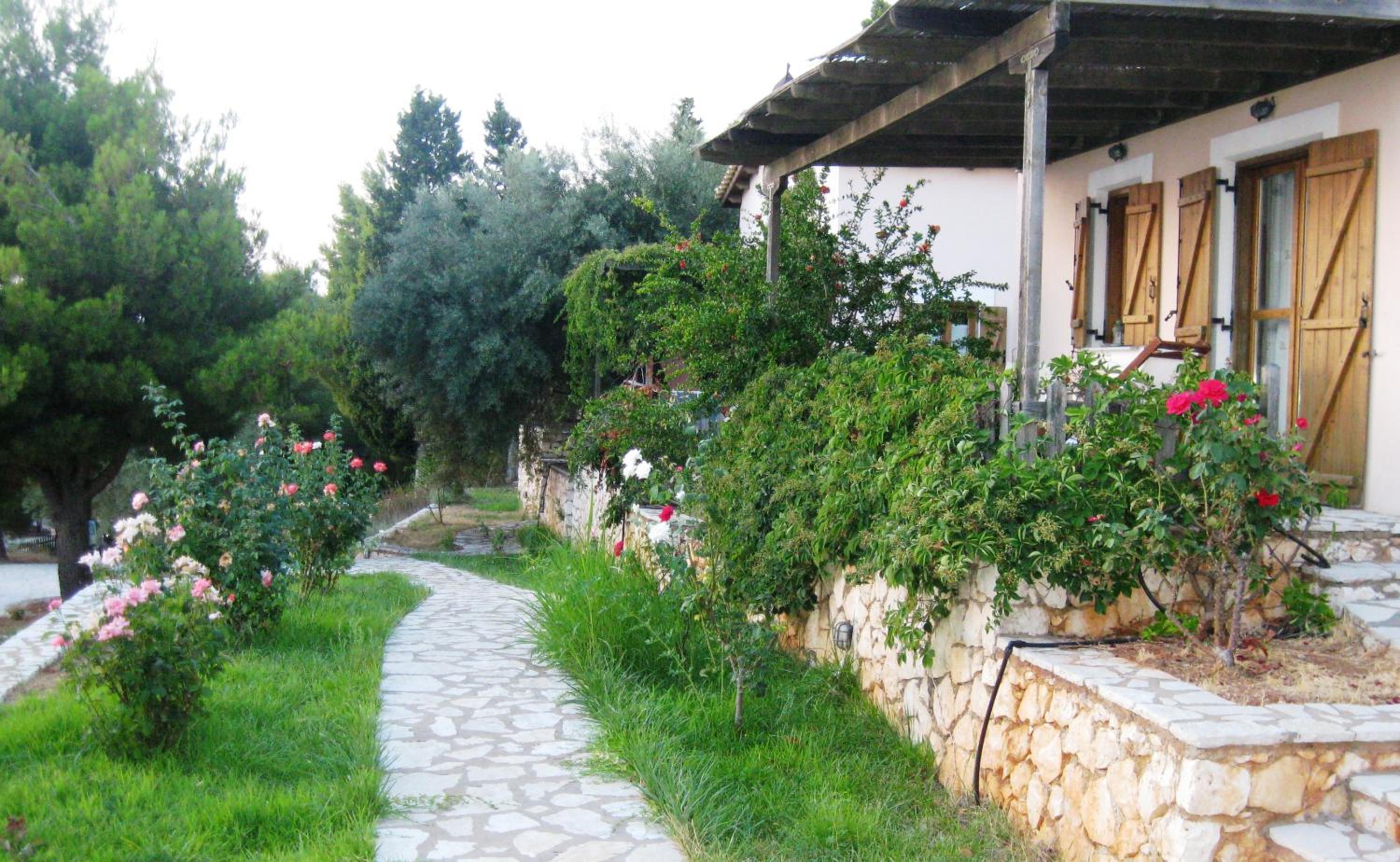 Photo 20