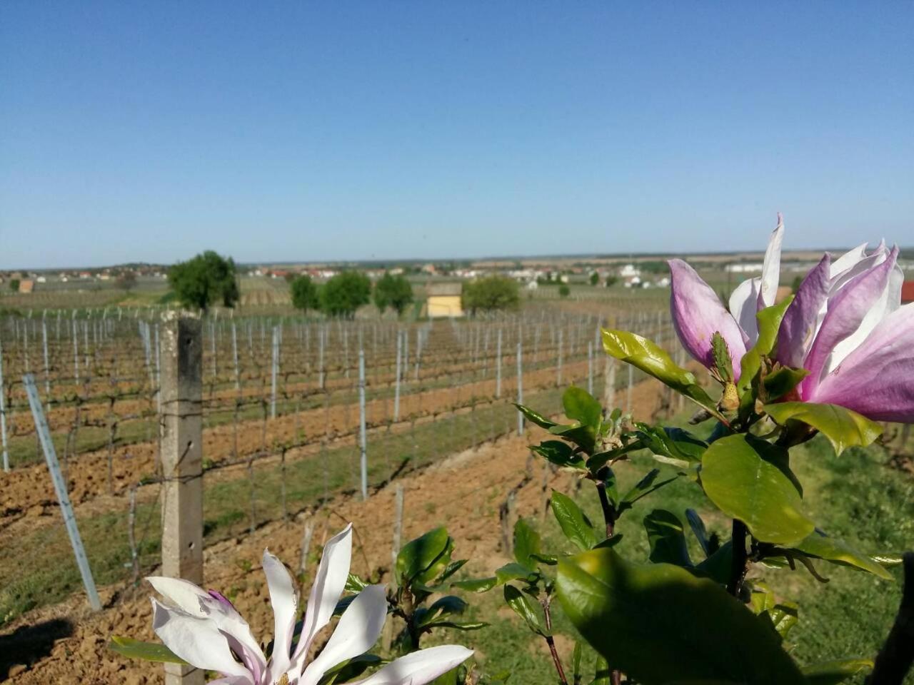 Remete-lak view 5