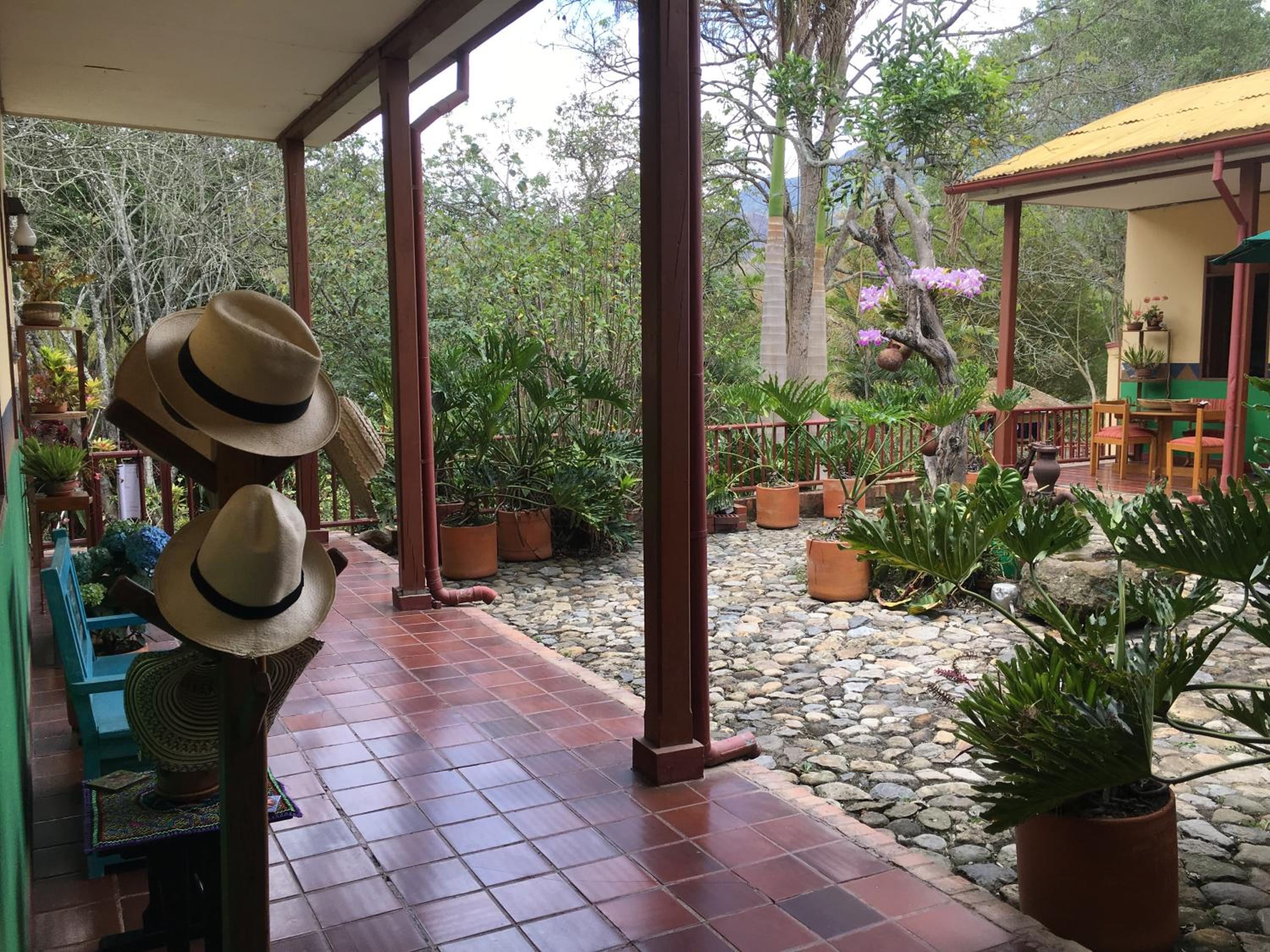 Photo 21