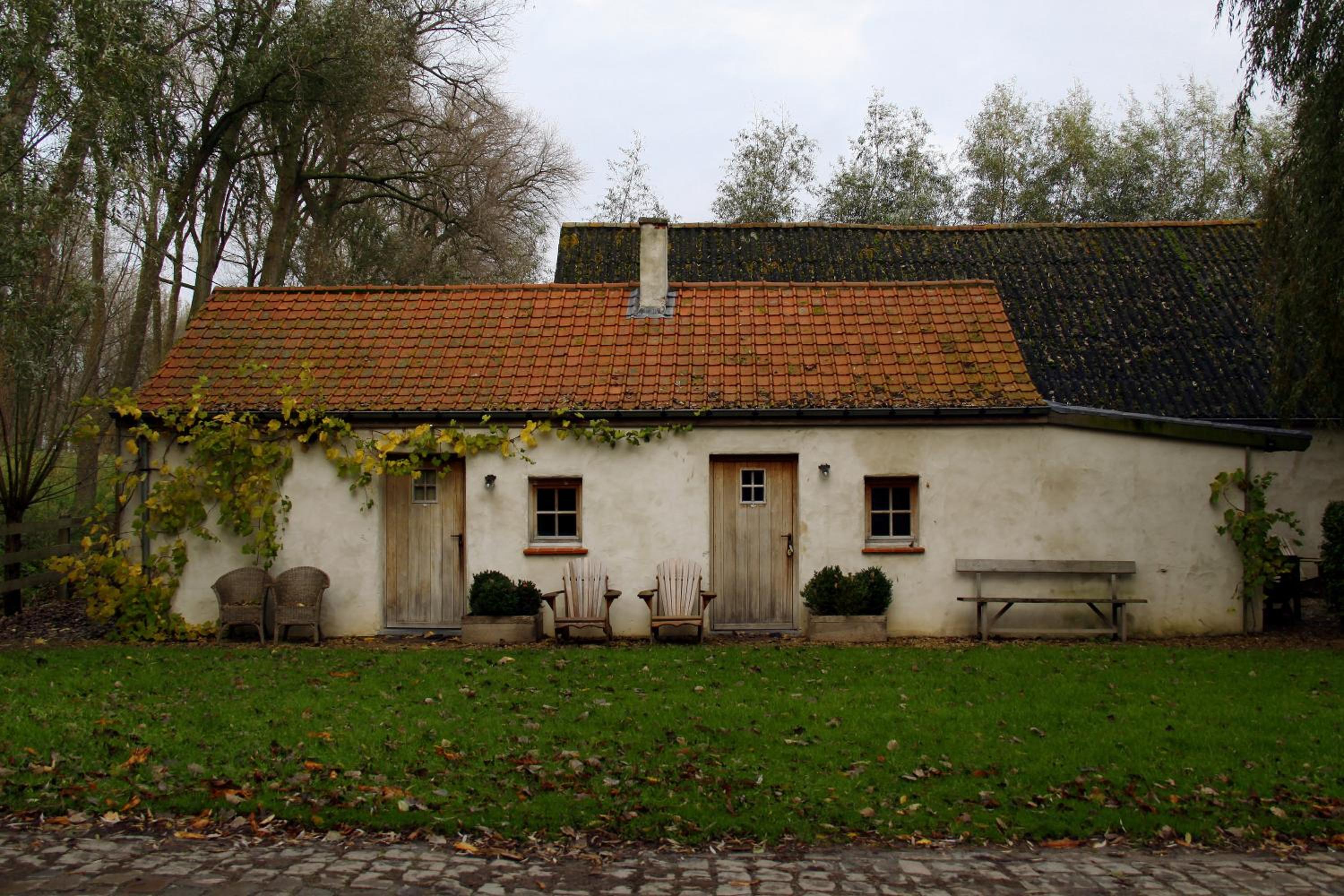 Photo 42