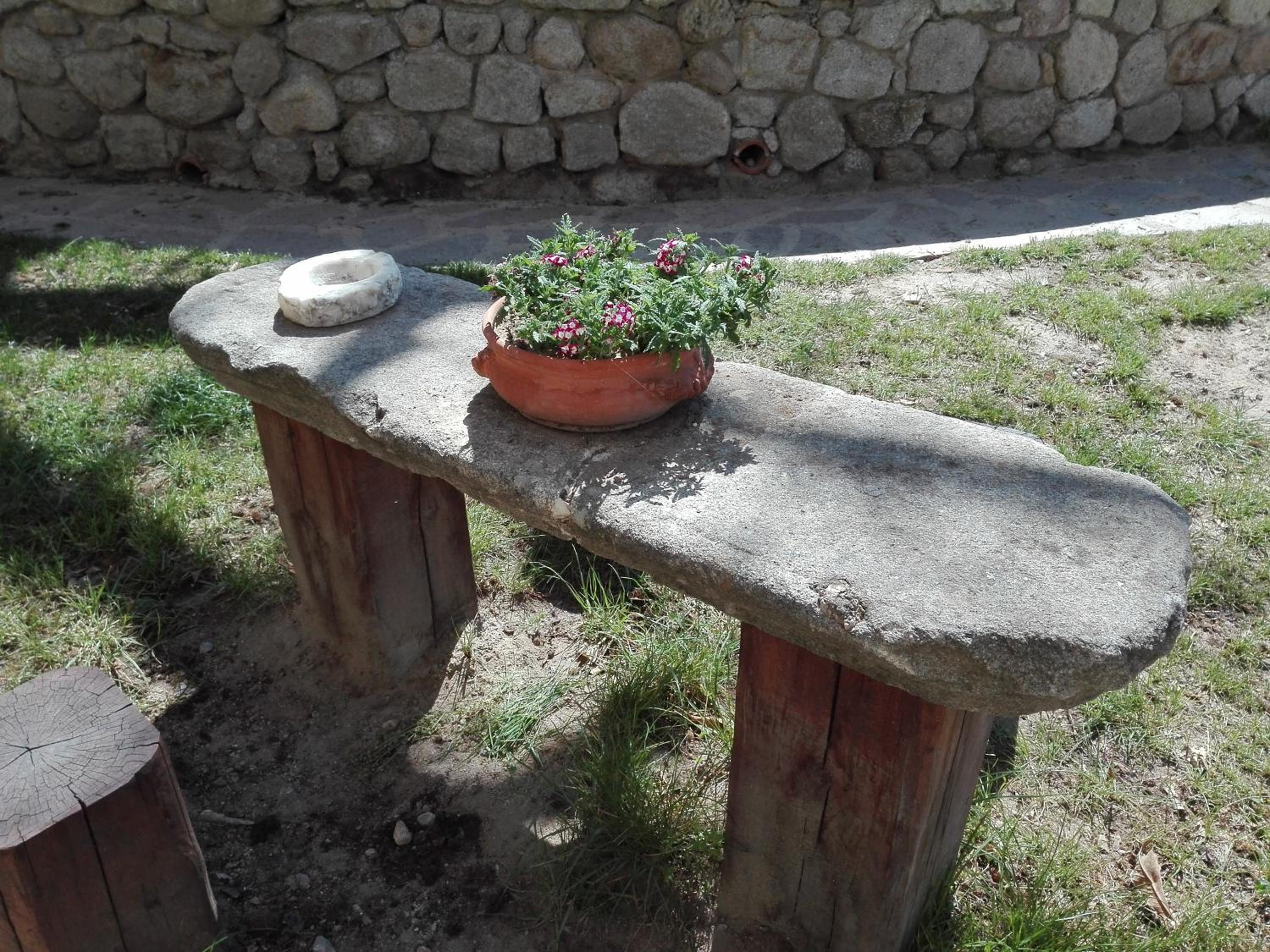 B&B Podere Legnotorto