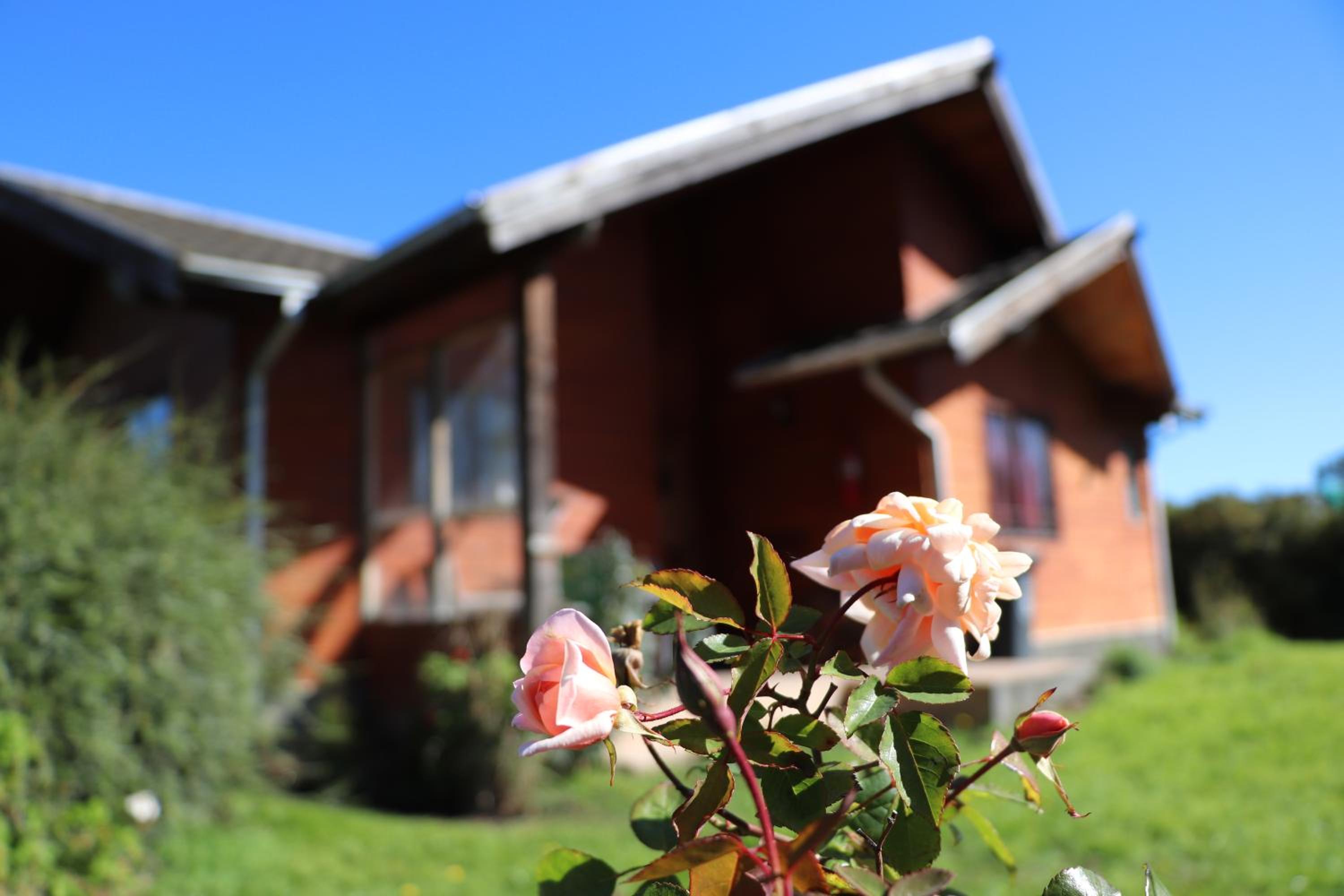 Cabañas Paihuén