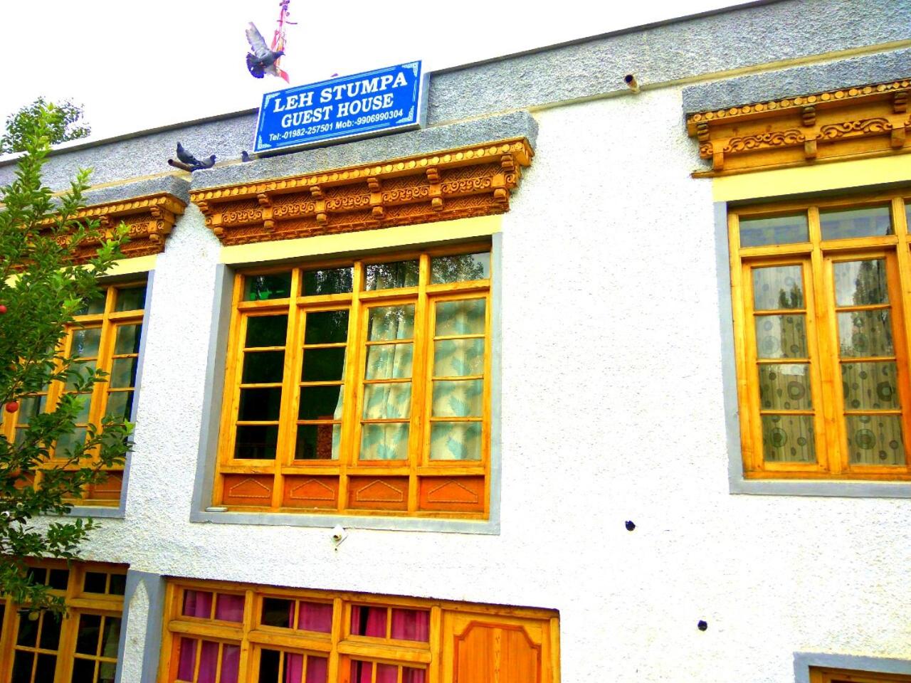 Photo 44