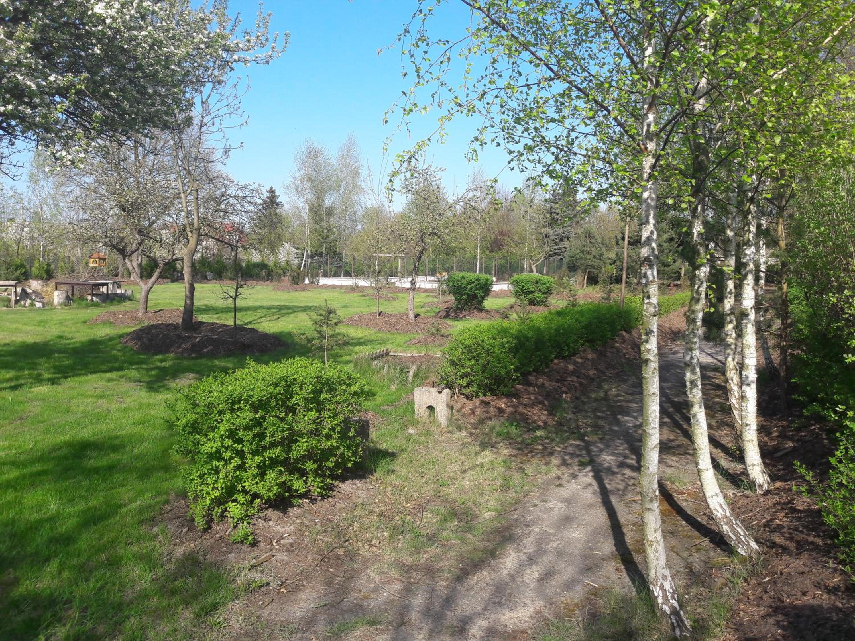 Photo 40