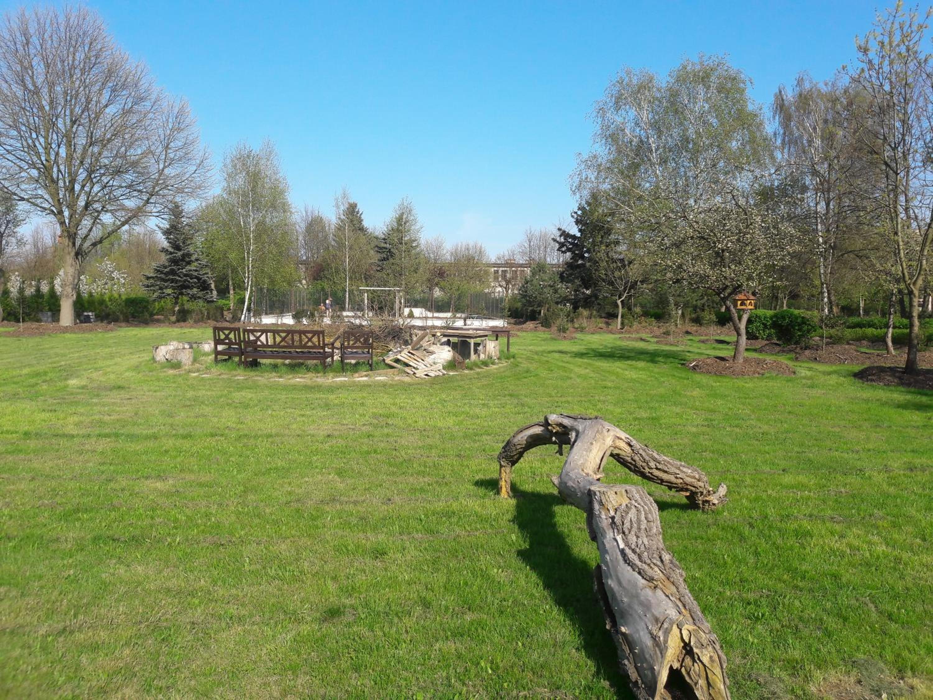 Photo 41