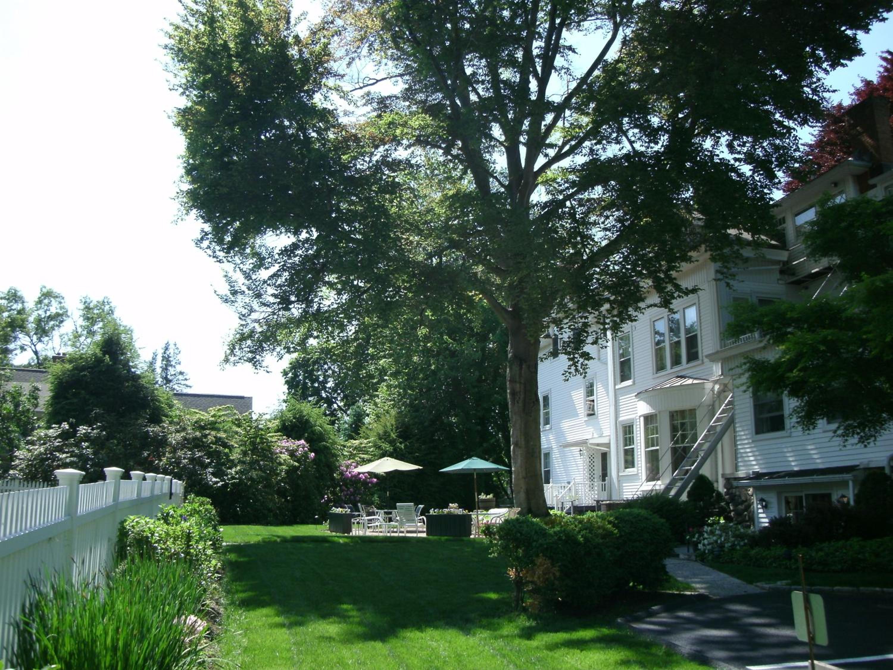 Stanton House Inn, photo 14