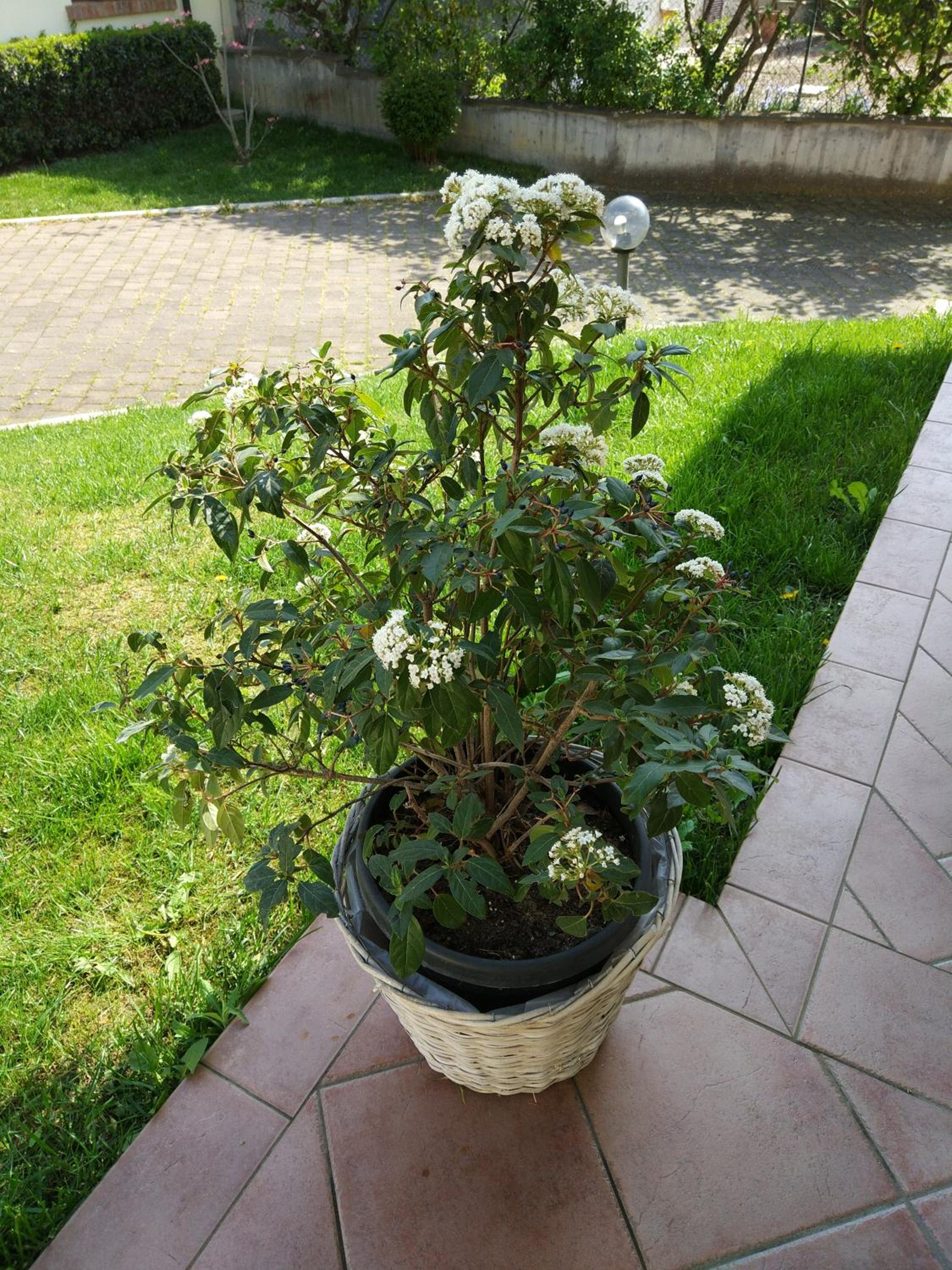 Marinella B&B