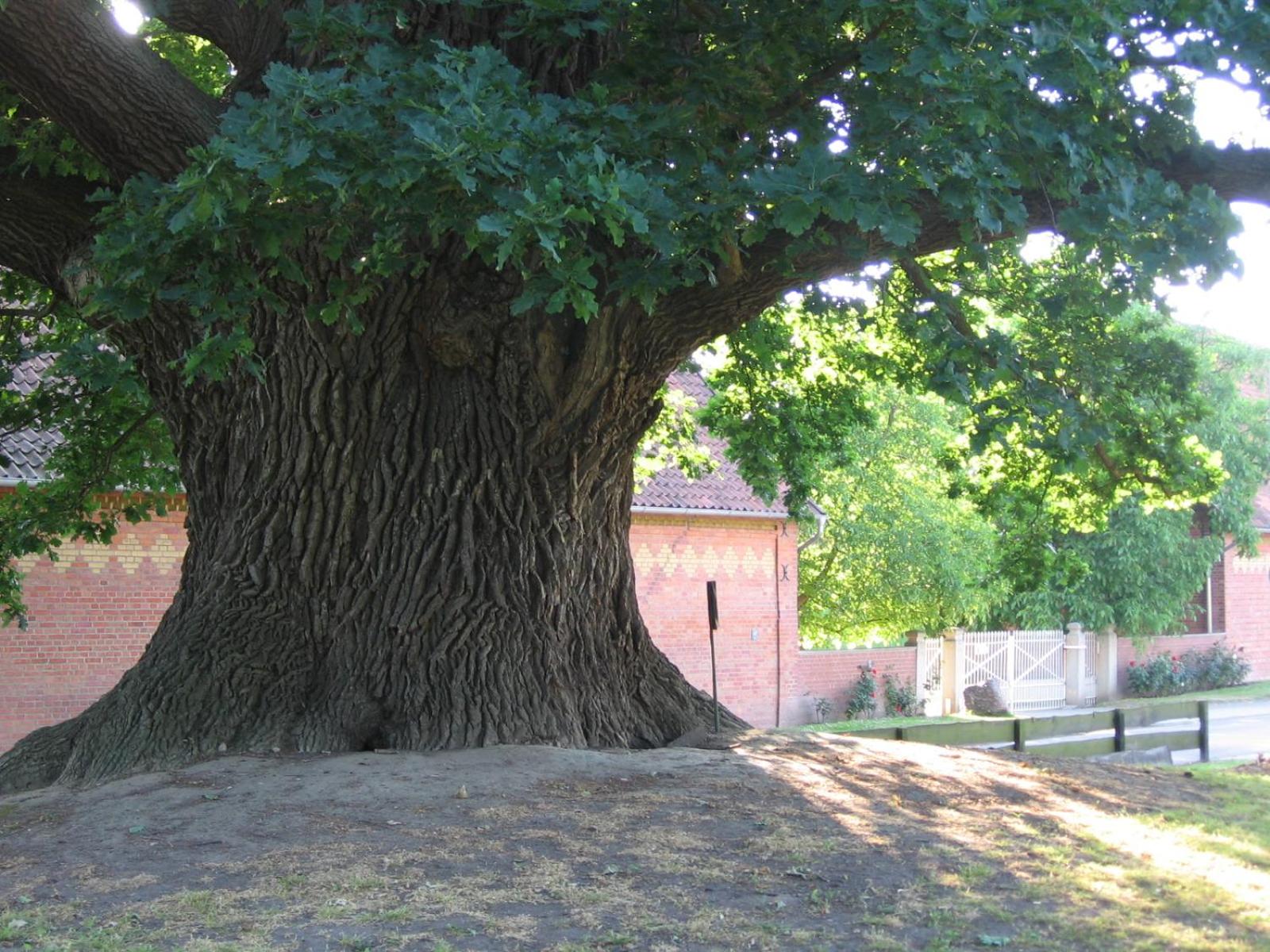 Hof Grafeneiche