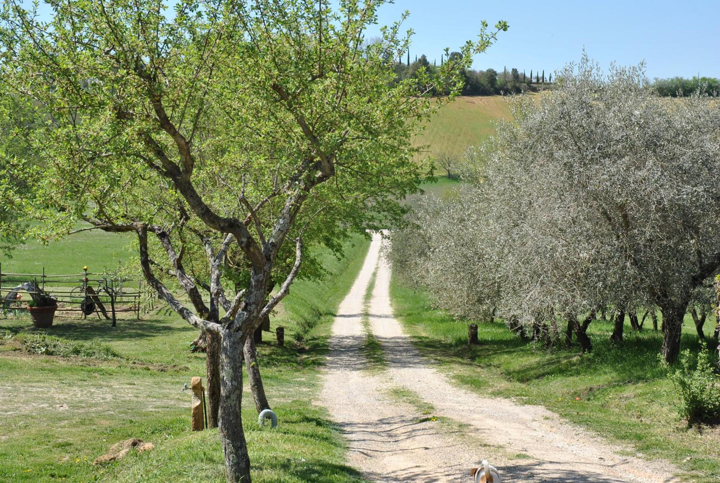 Agriturismo Podere La Paolina - Residenza di Charme