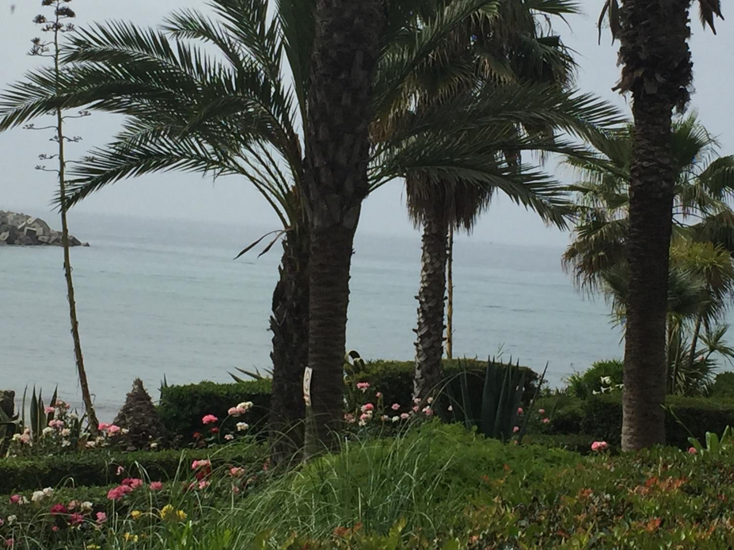 Chez Ana view 5