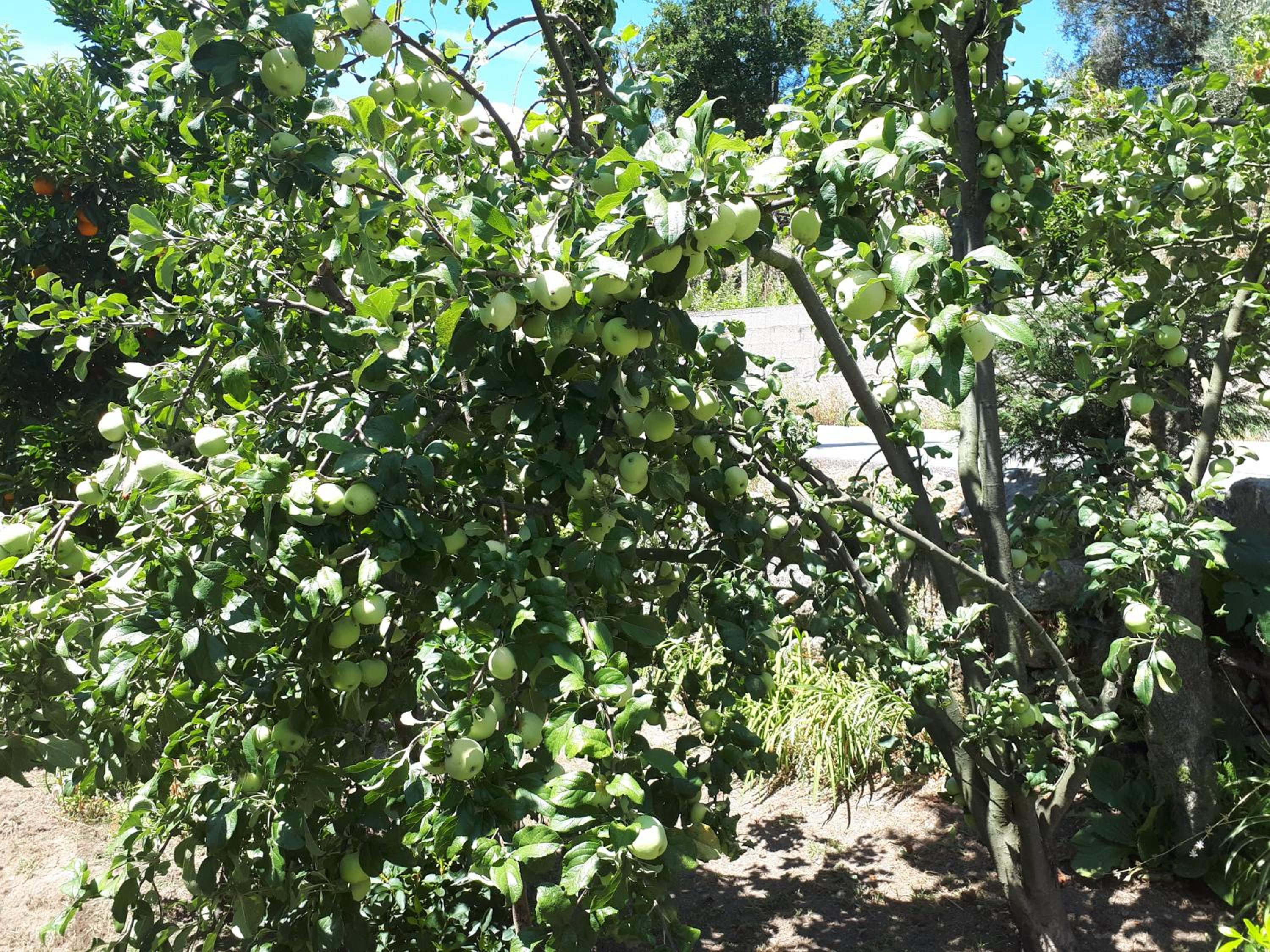 Photo 23