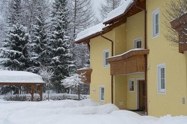 Haus Elisengrund am Geigenbuehel - chalet privé
