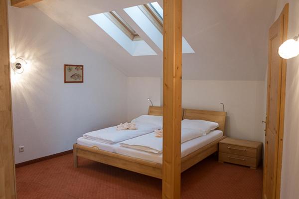 Haus Elisengrund am Geigenbuehel - chalet privé