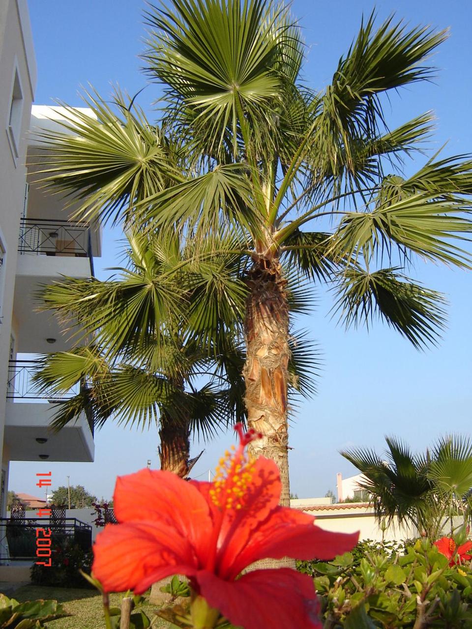 Sunny Garden Limassol Star