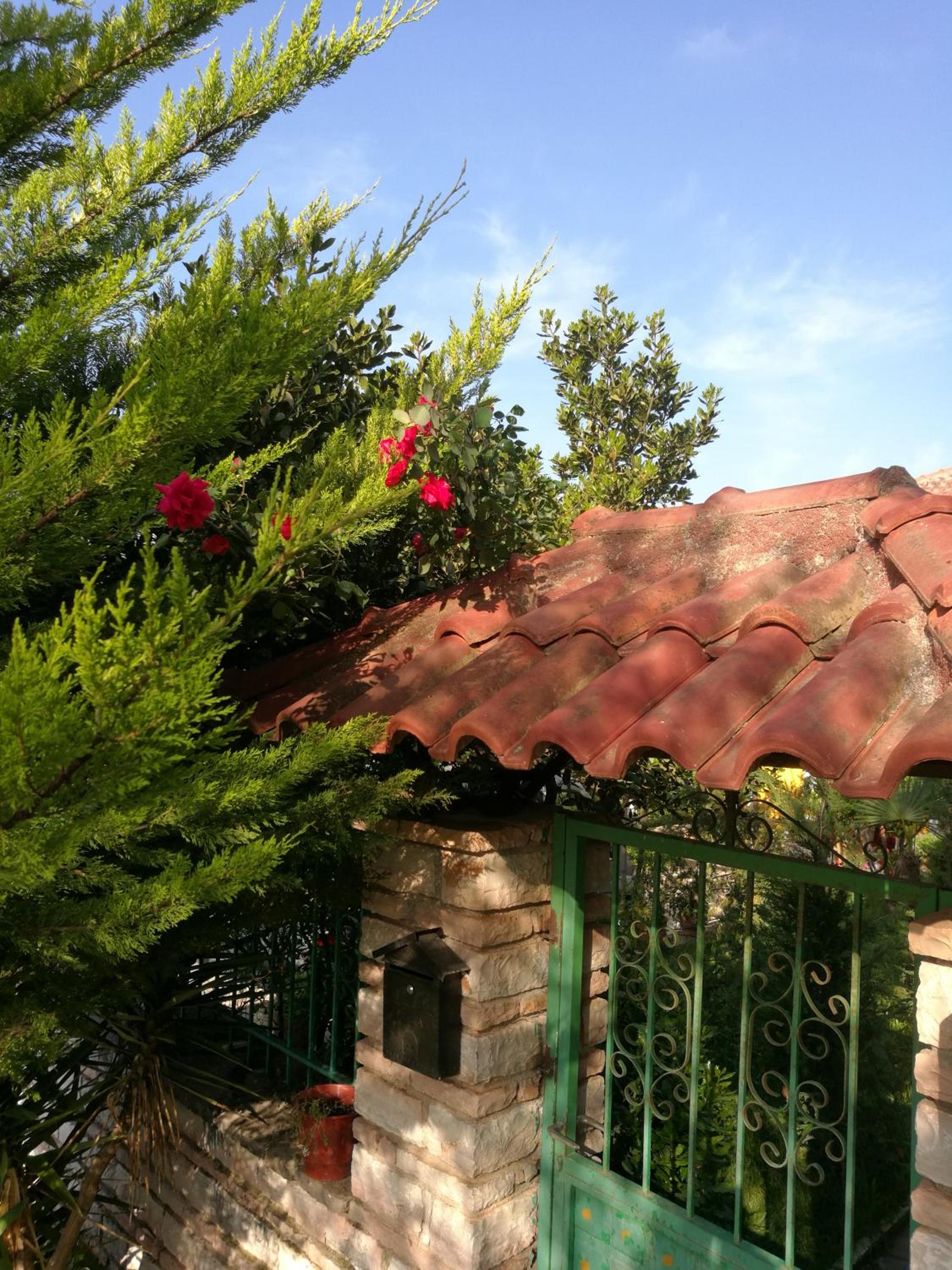 Arti Vila