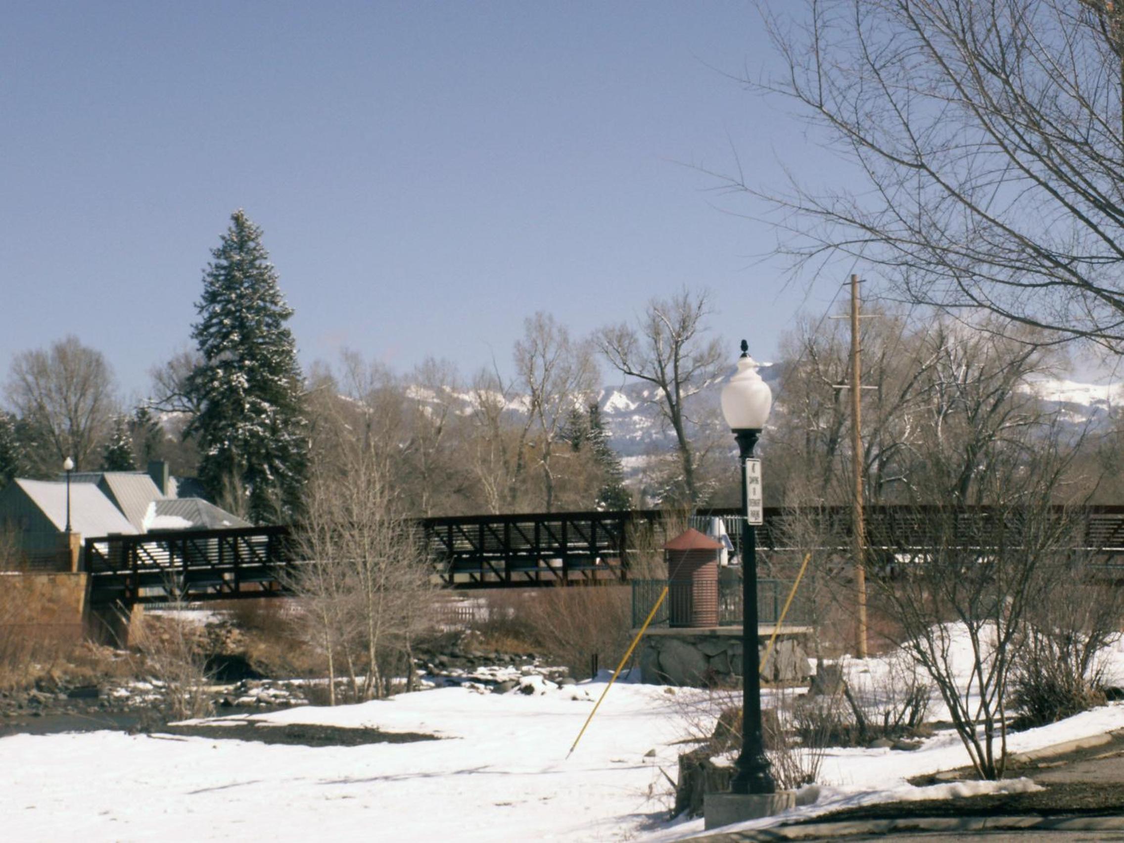 Photo 21