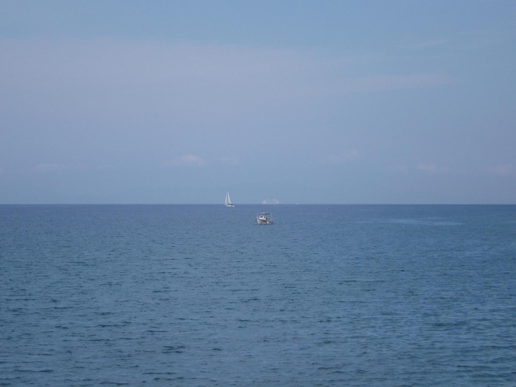 Photo 44