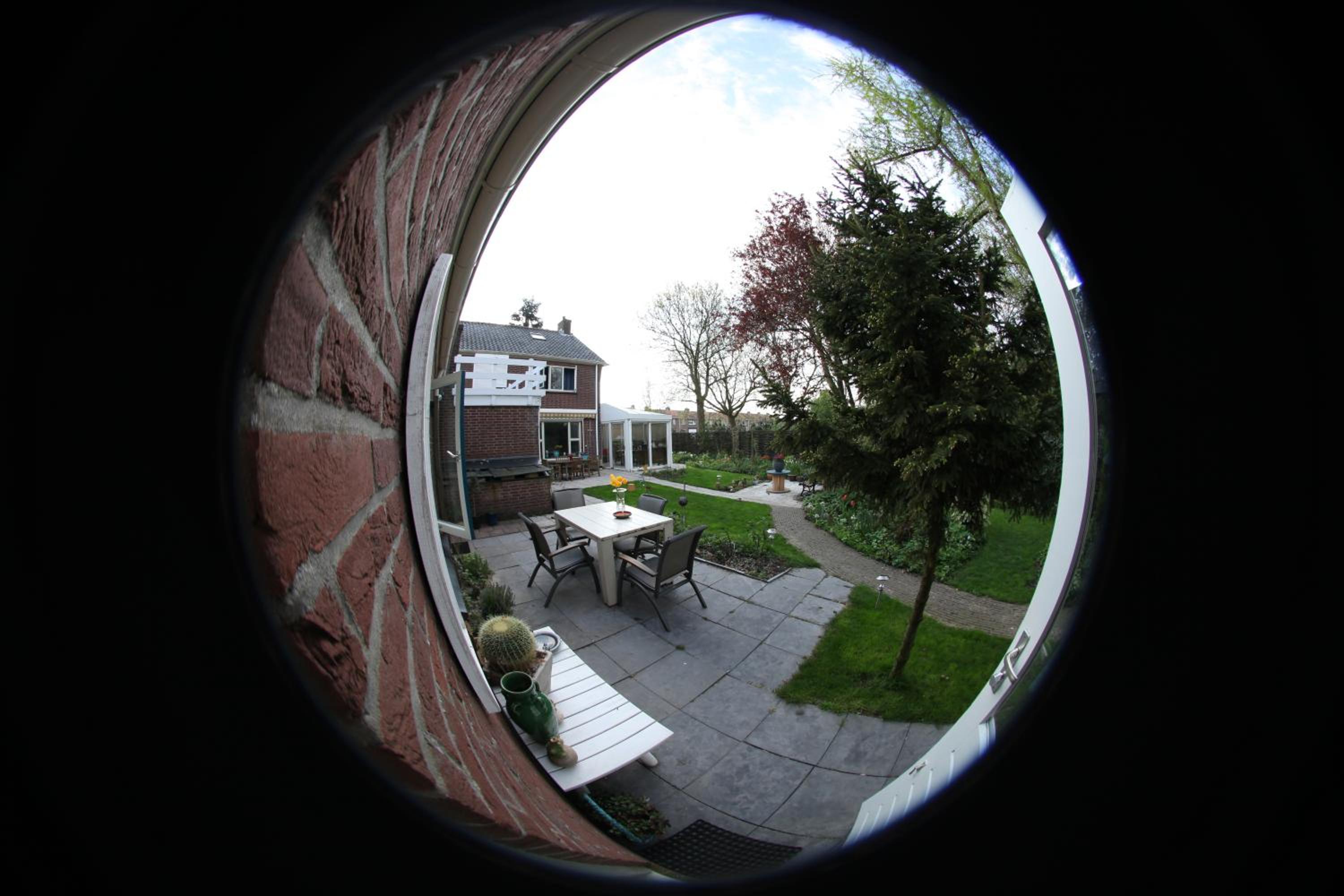 Photo 15