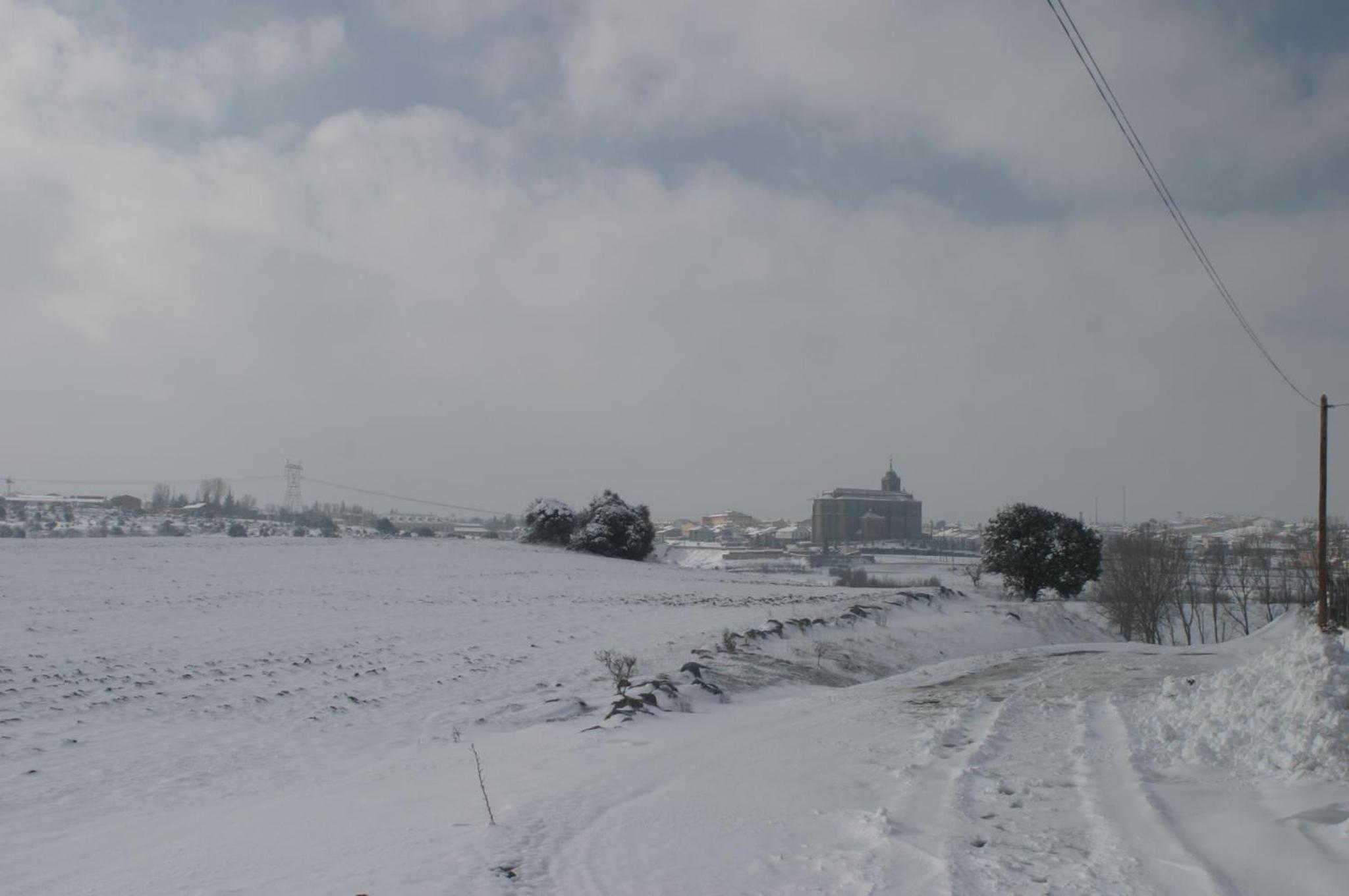 Photo 48