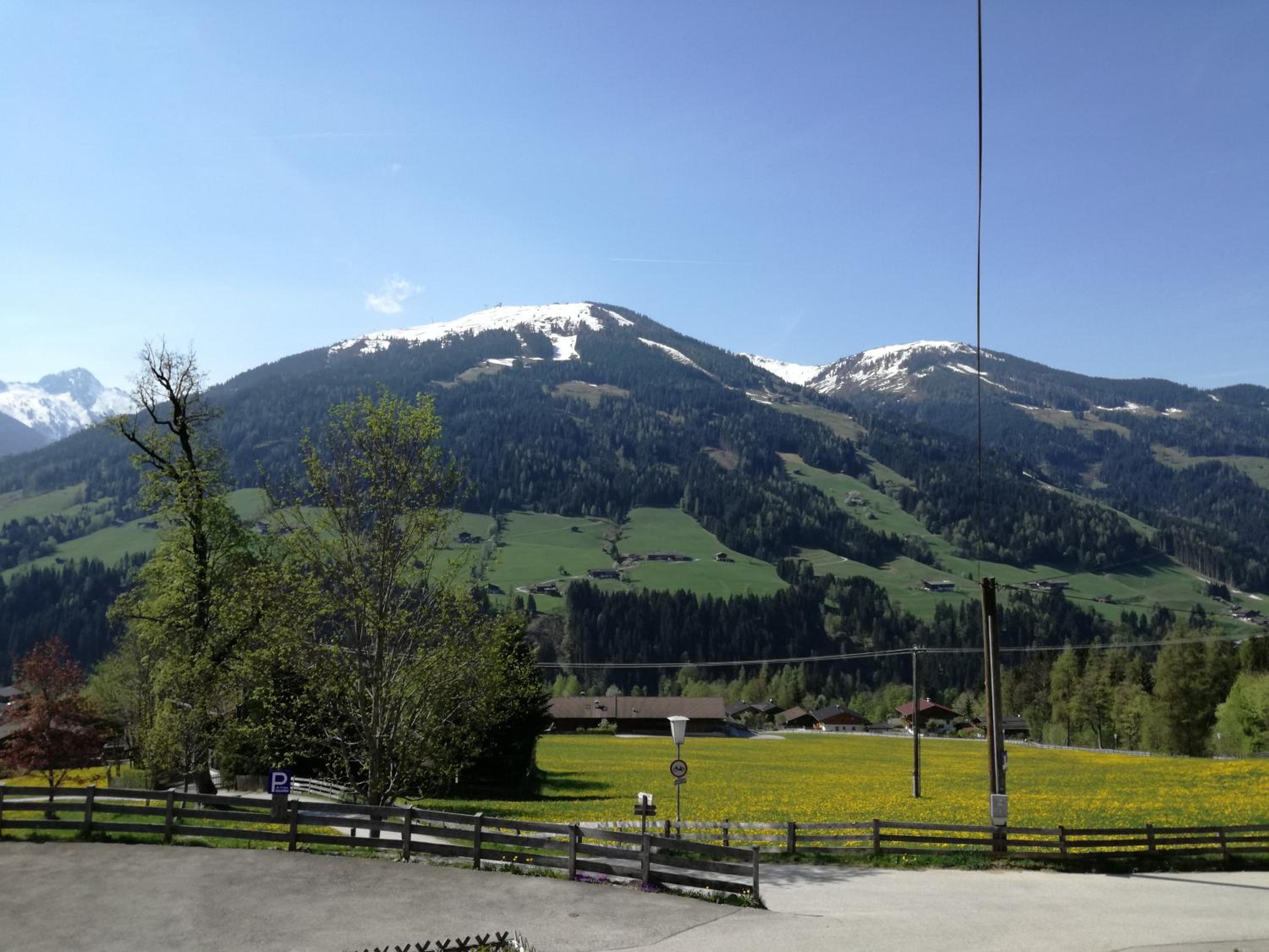 Alpbachblick