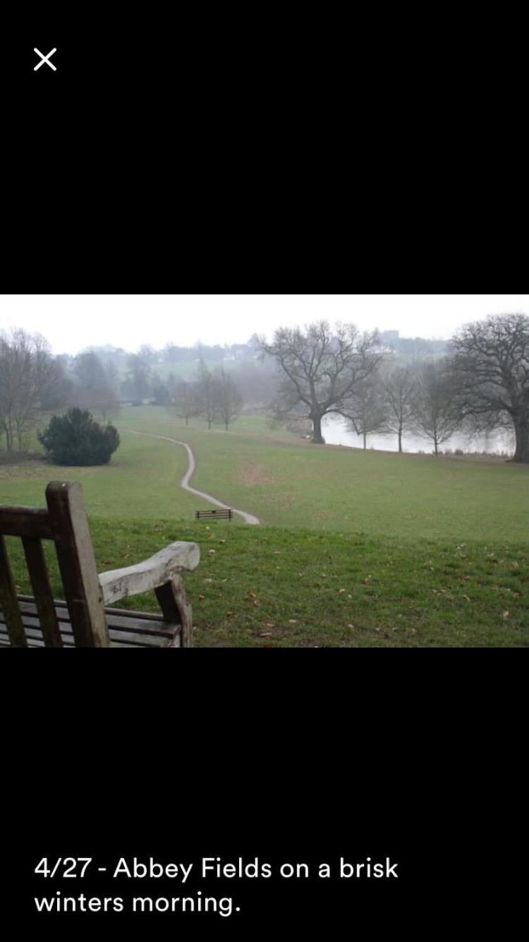 Kenilworth Cosy Garden View Apartment view 3
