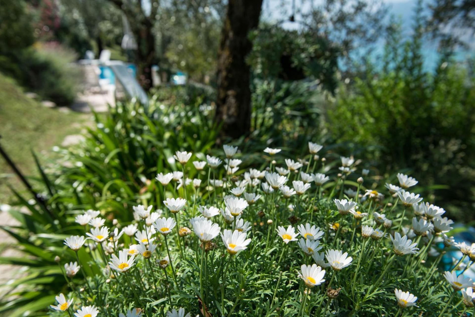 Villa Malcesine view 2