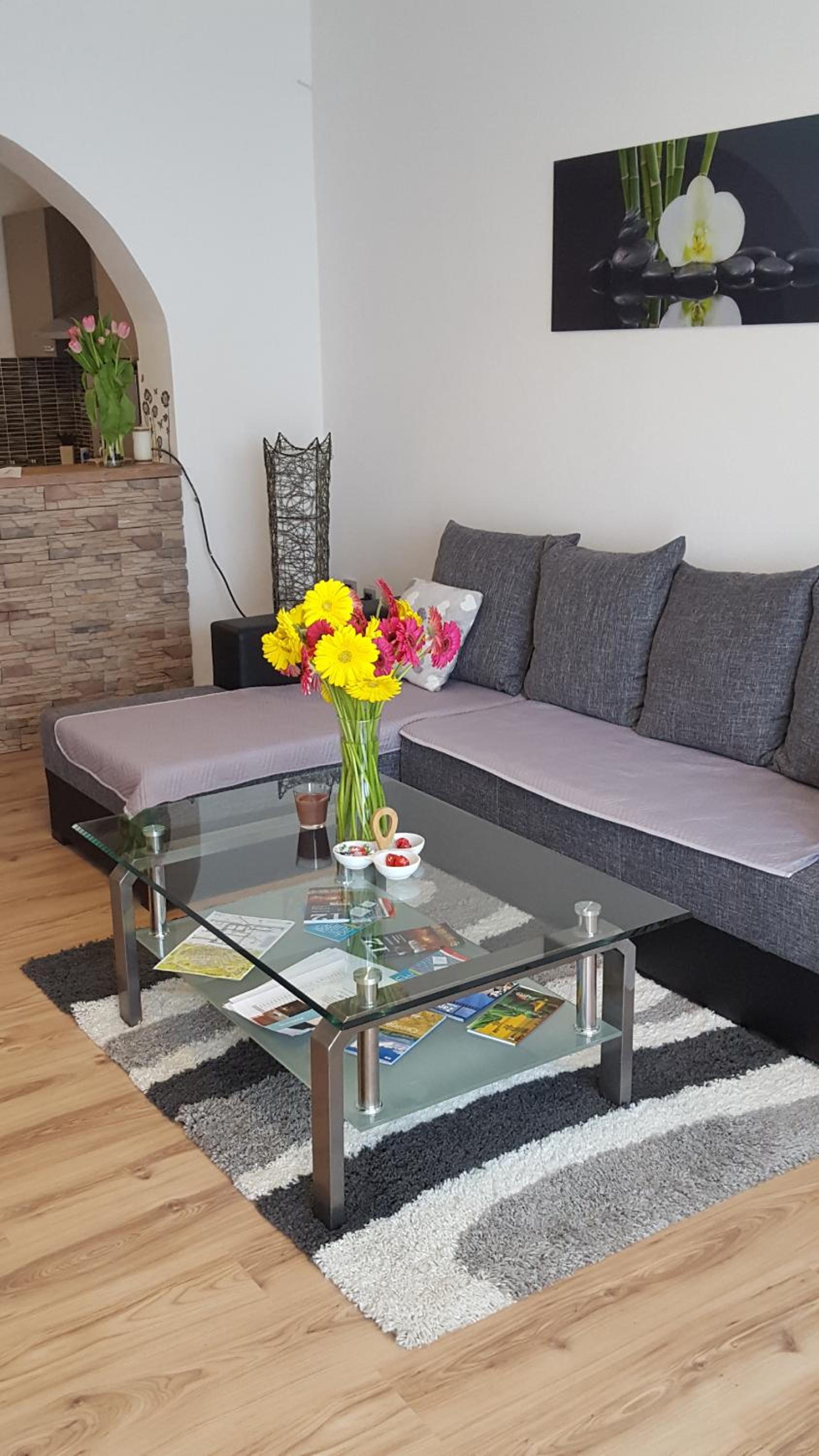 Apartman TARA en Zagreb — lounge