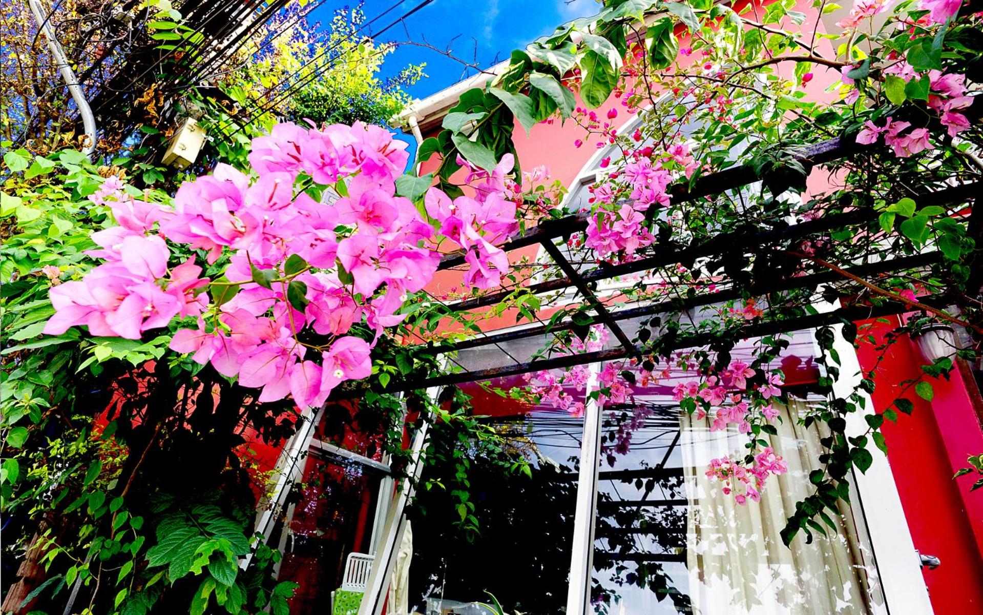 Phuket Paradiso, photo 133