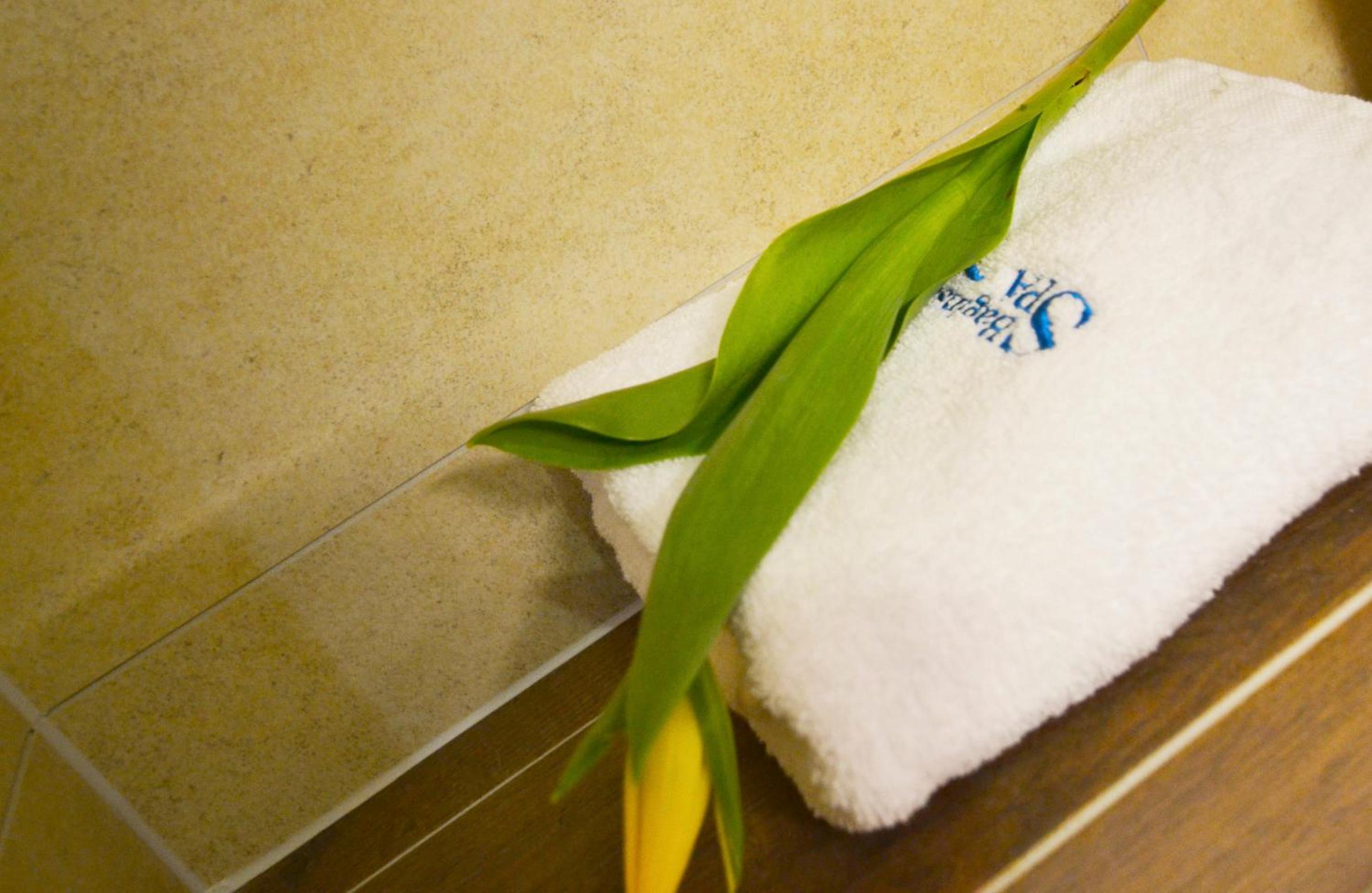 Bagińscy Spa