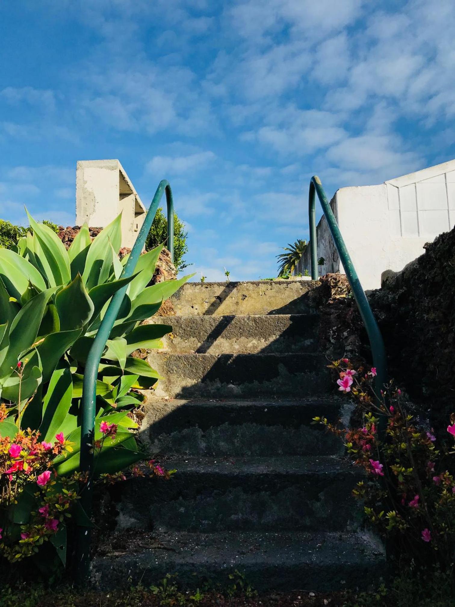 Herdade do Ananás