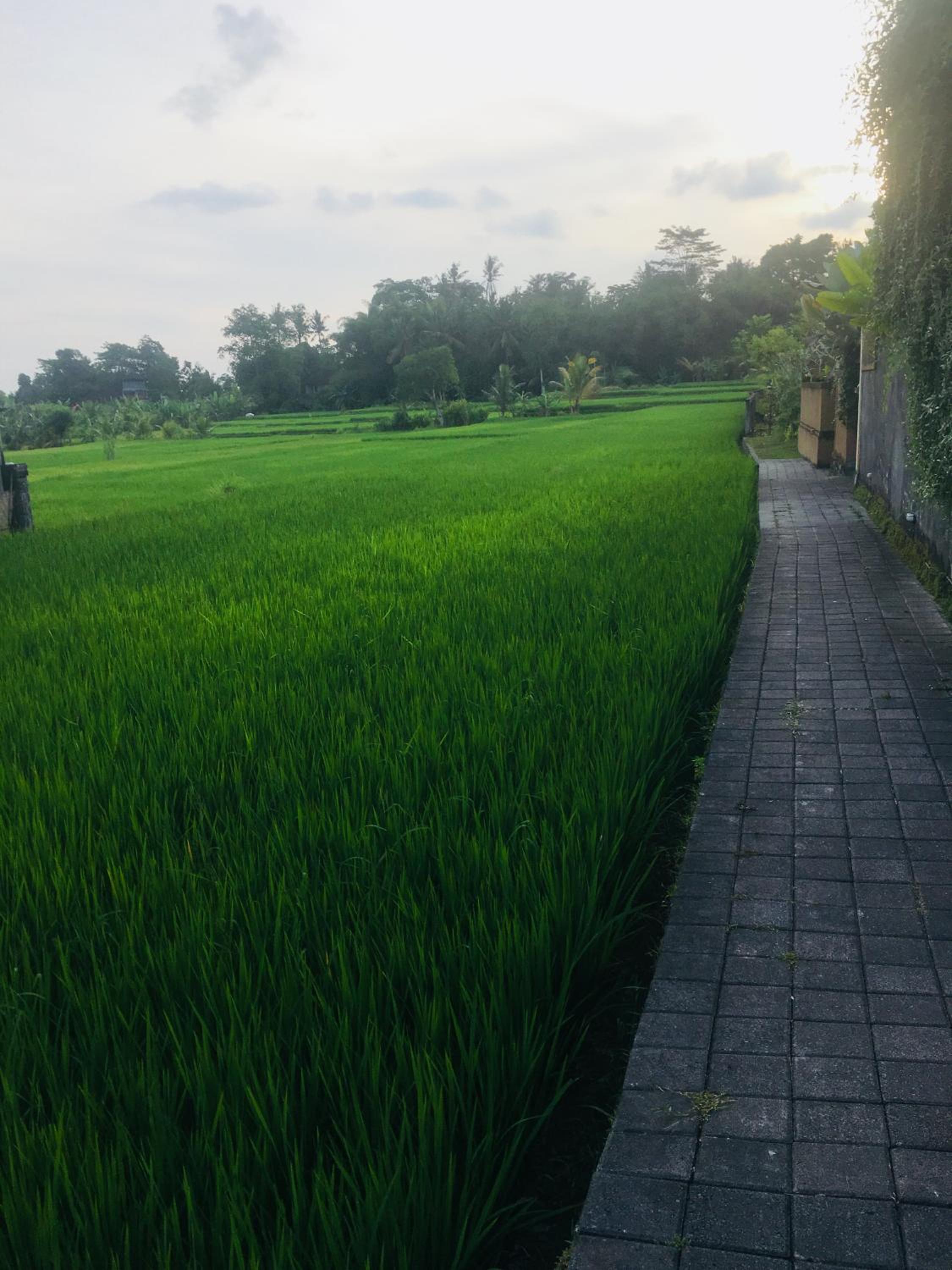 Heaven Villa Ubud