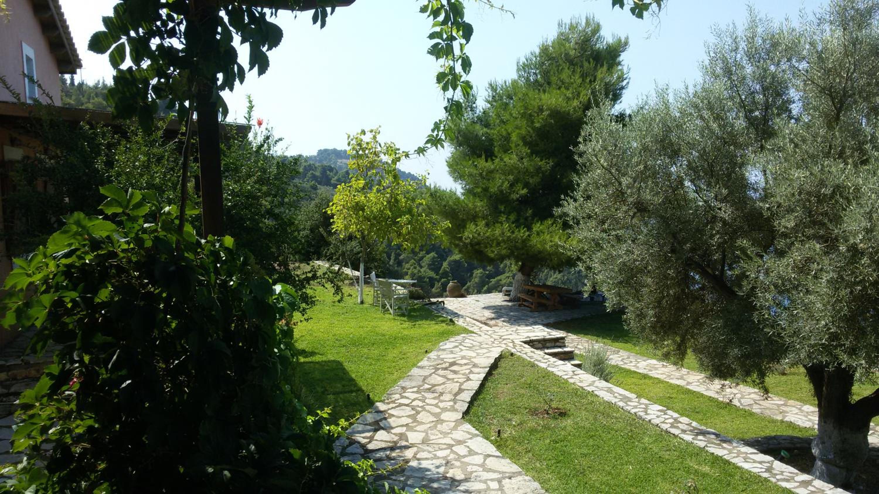 Photo 10