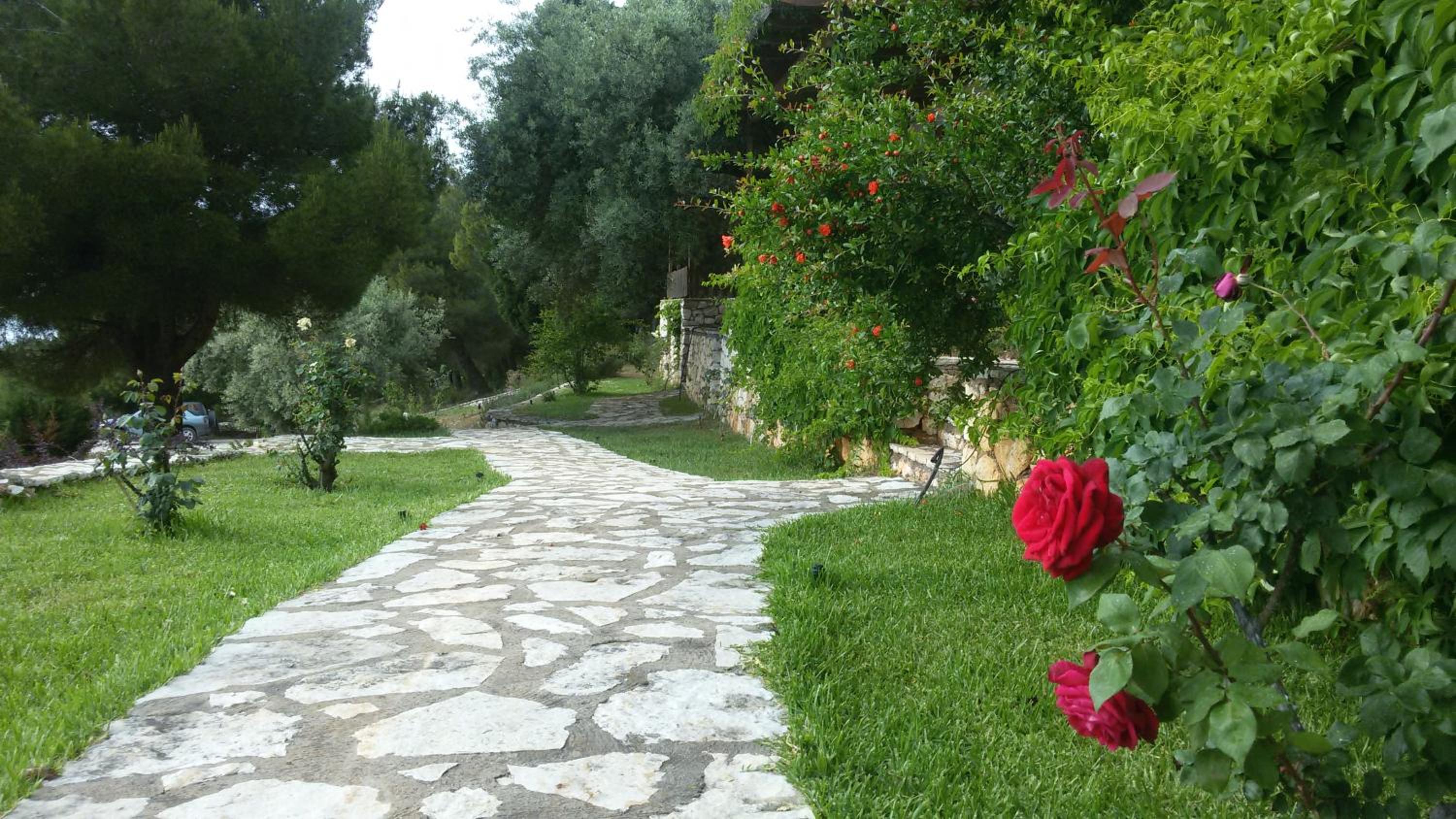 Photo 12